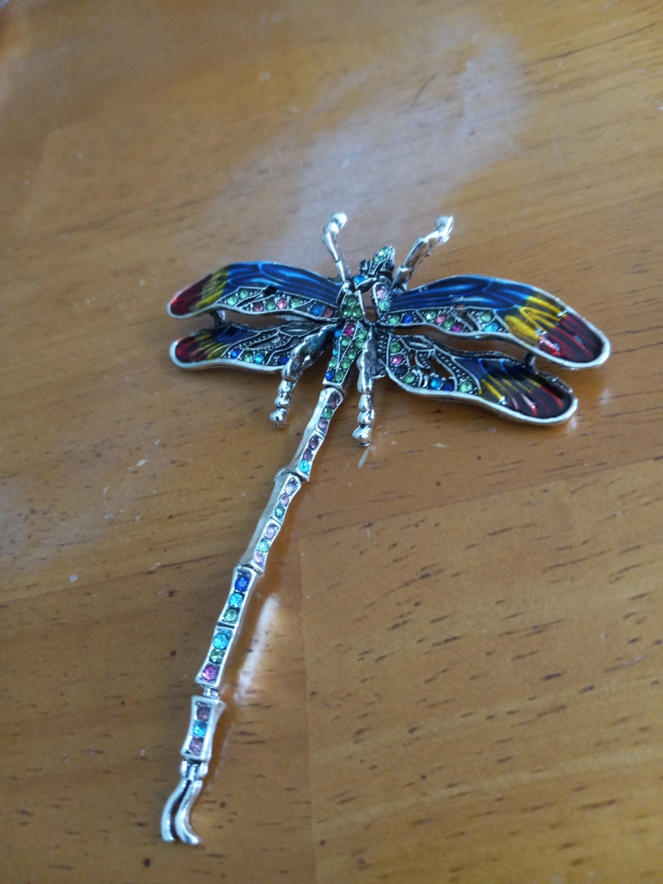 Dragonfly pin jewelry dsc