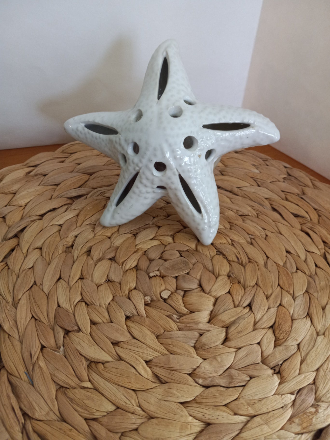 Ceramic starfish dsc