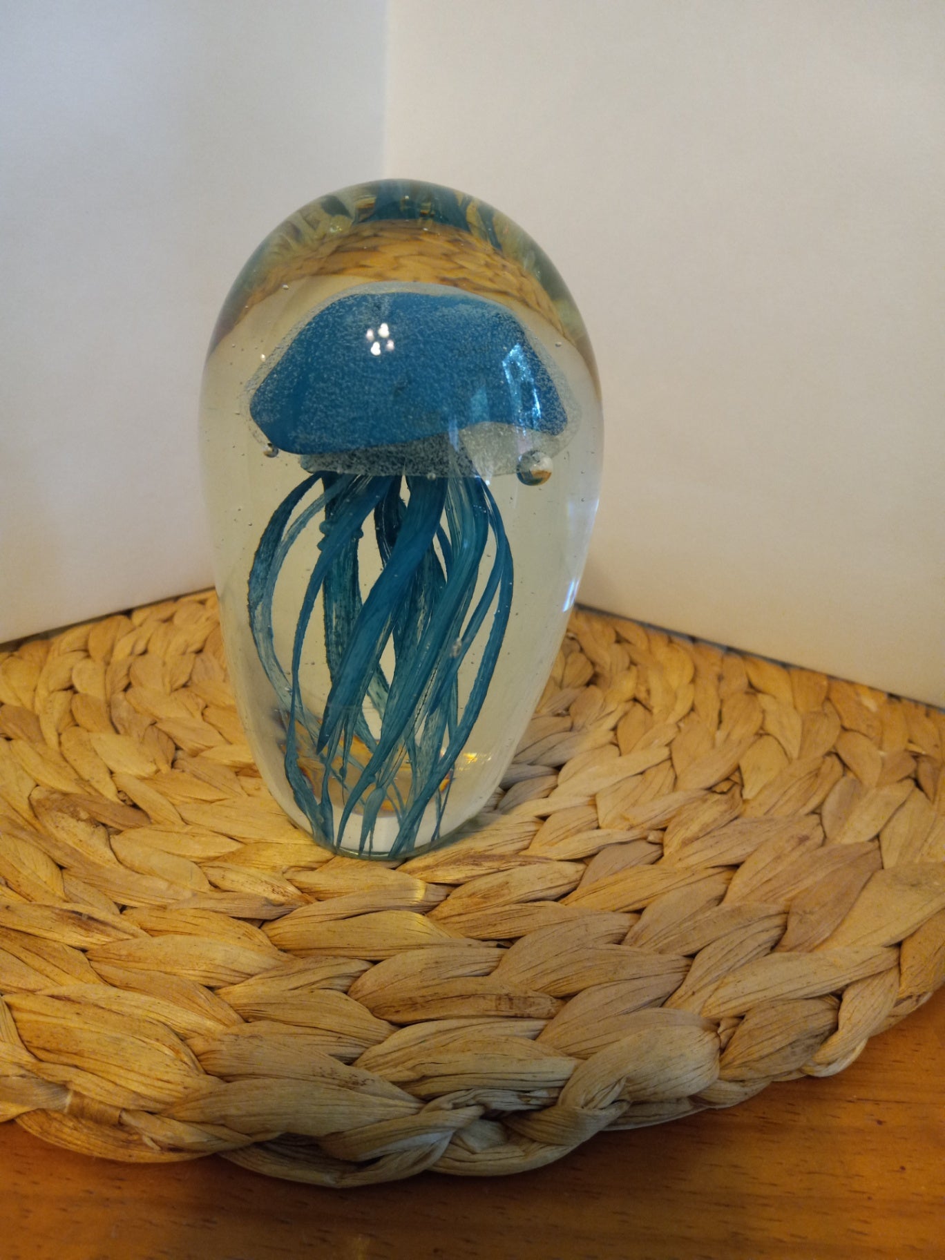 Teal Glass octopus dsc