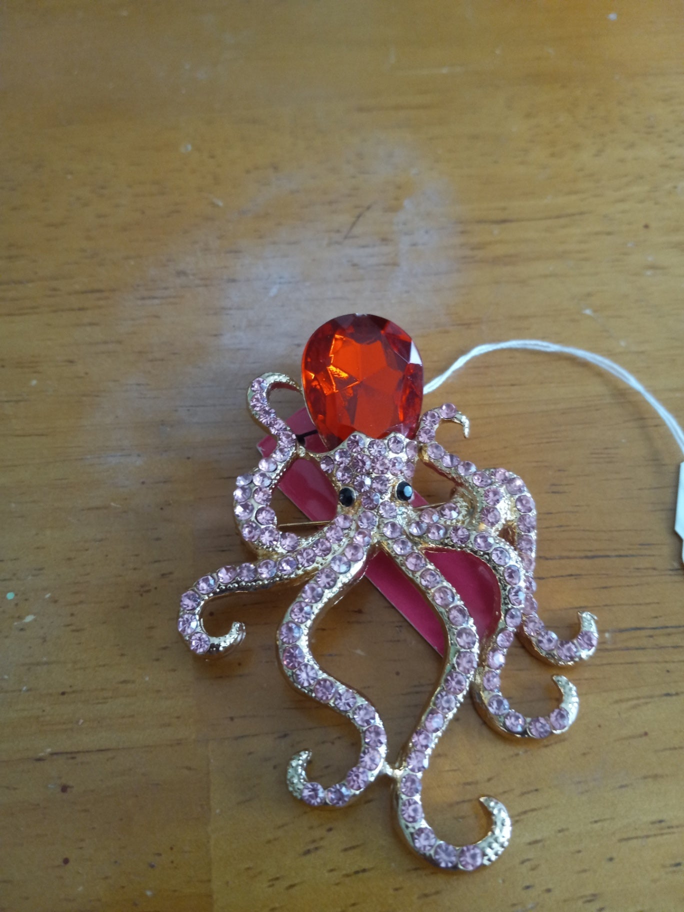 Octopus pin dsc