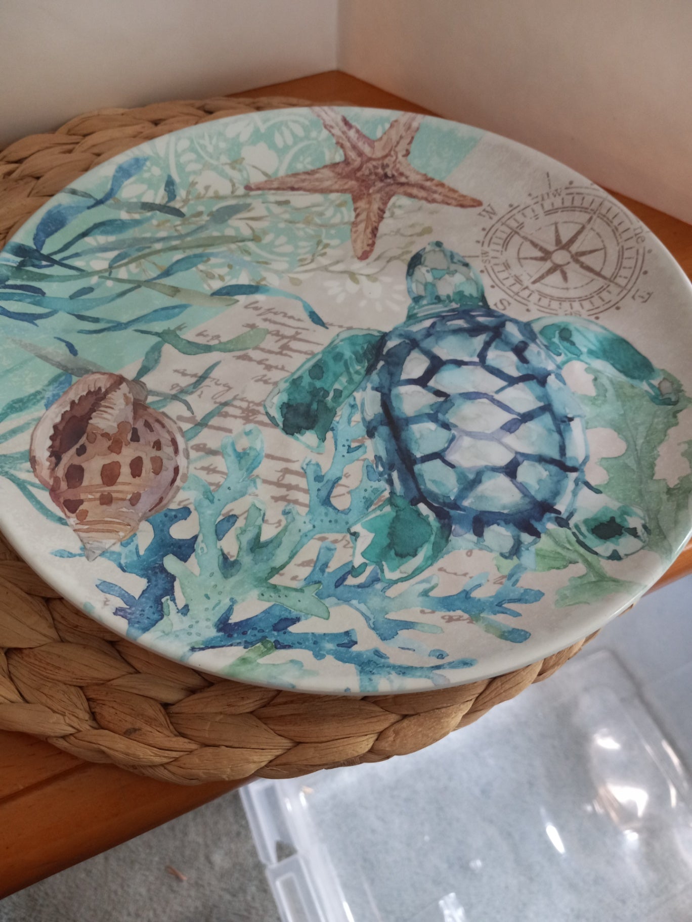 Melamine turtle dish dsc