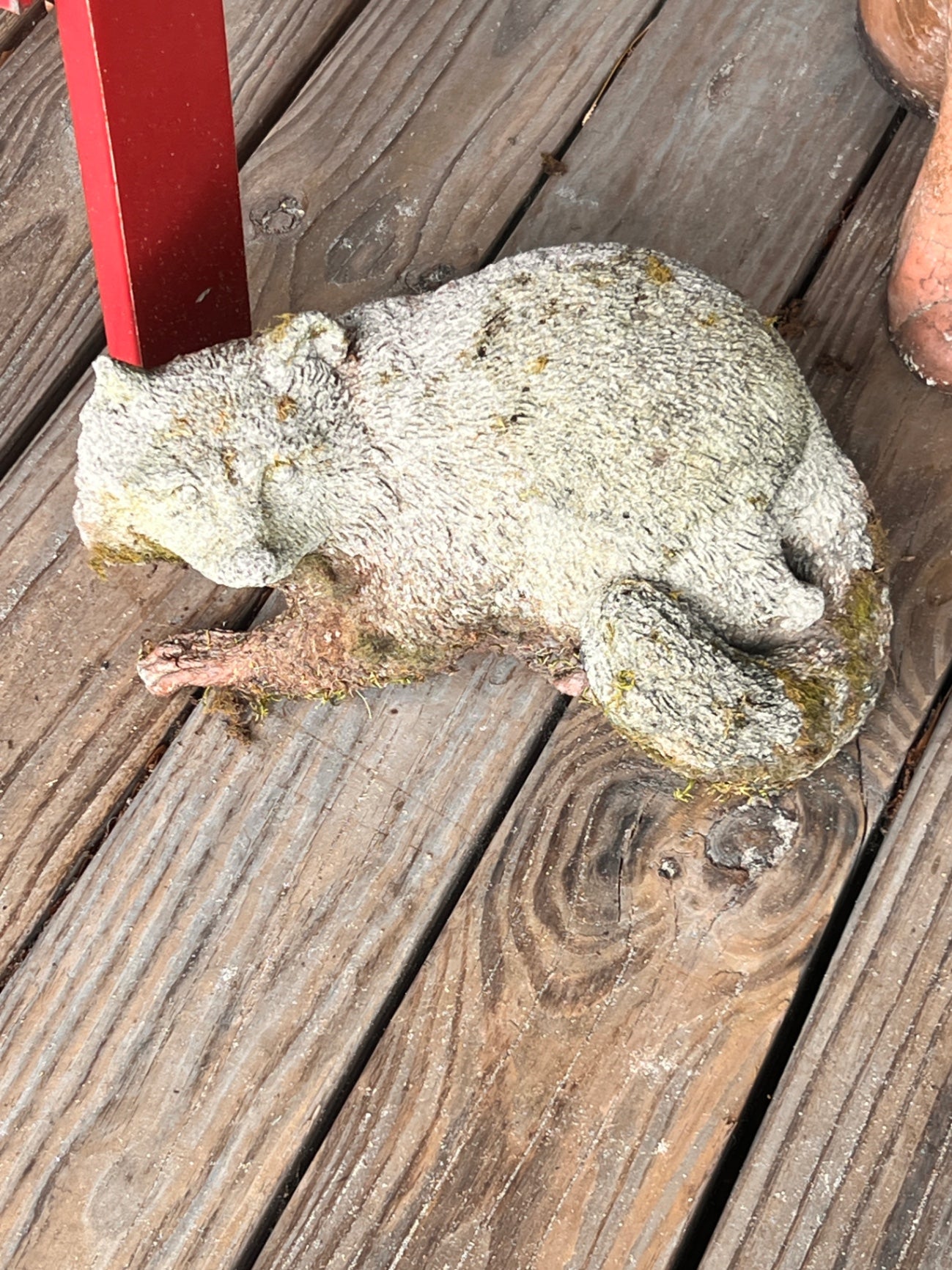 Cement Raccoon Figurine