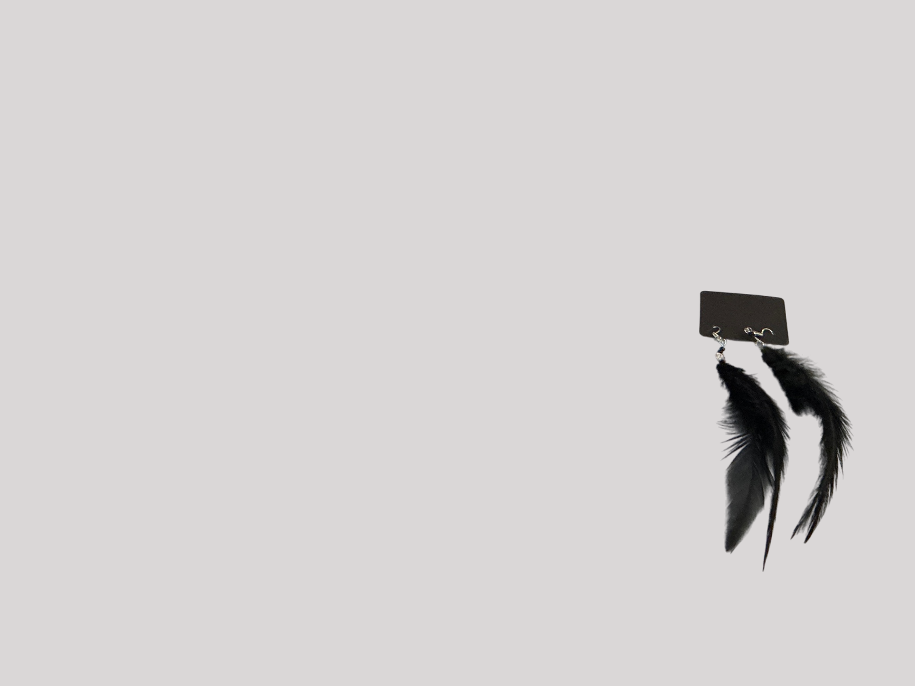Black Feather Earrings