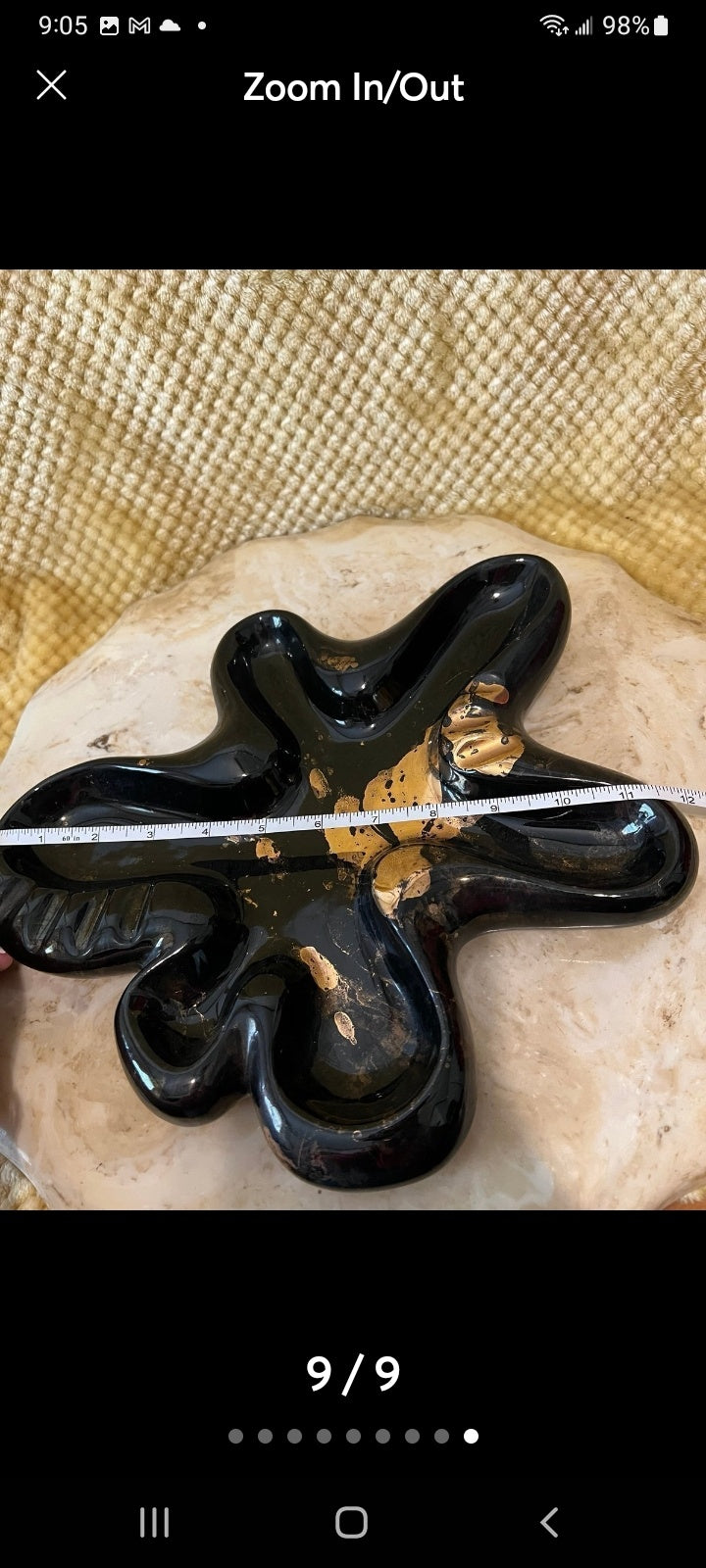 Amoeba 60's dish dsc