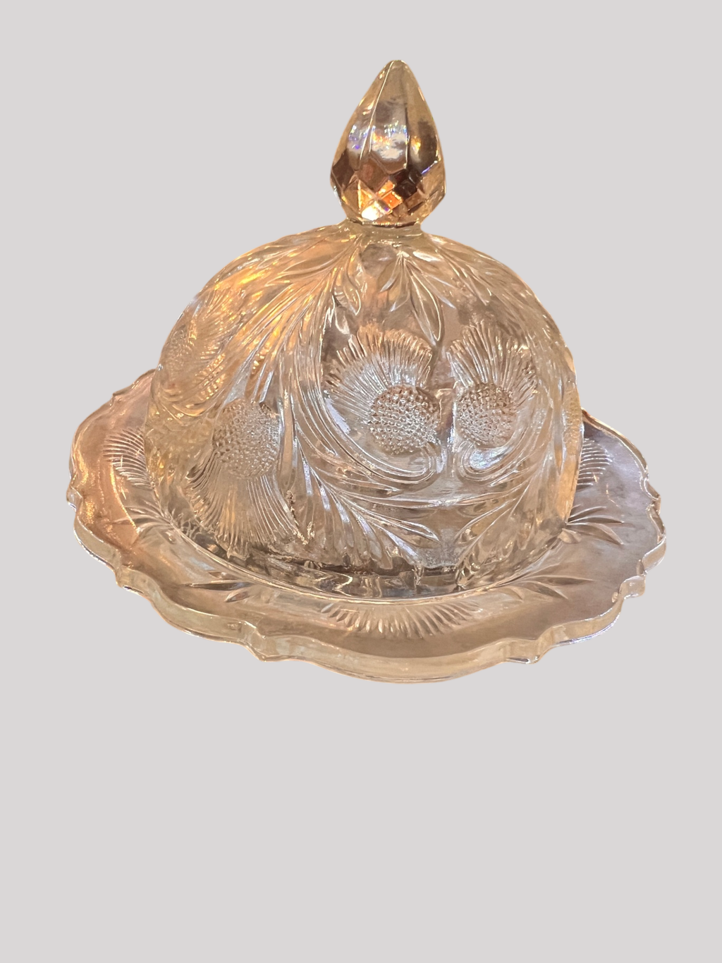 Antique Pressed Glass Dome with Thistle Pattern – Cheese / Butter Dish