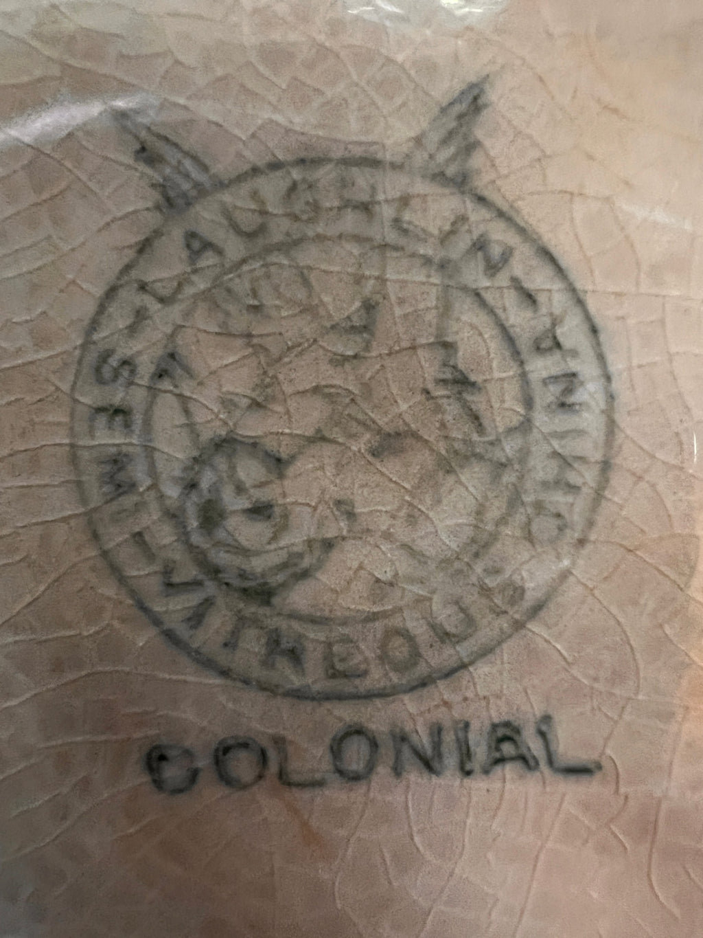 Beige with floral accents and gold trim Glass Decorative Bowl