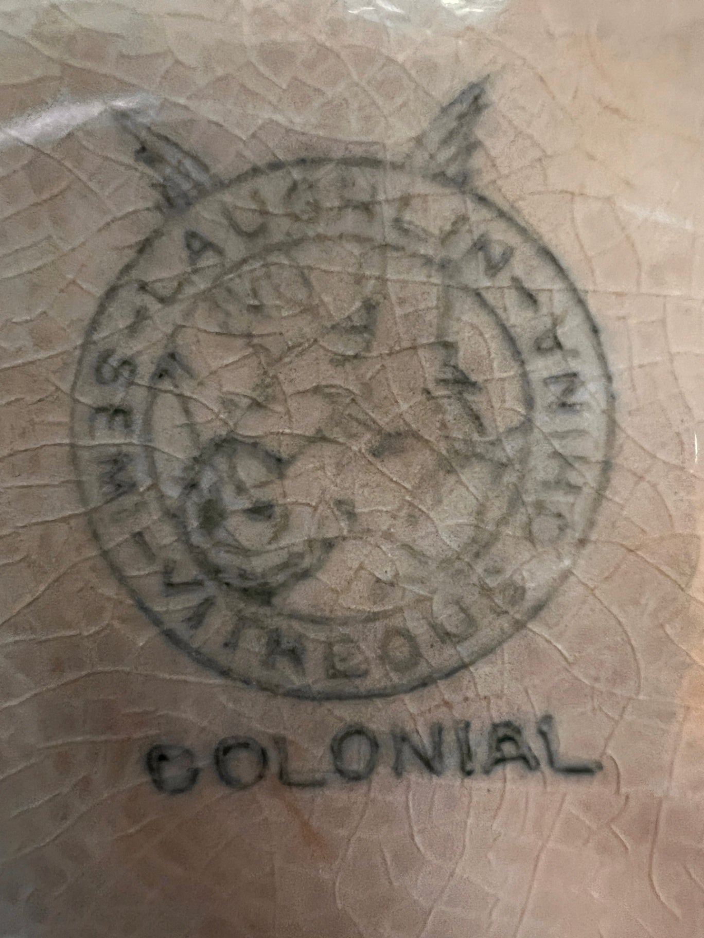 Beige with floral accents and gold trim Glass Decorative Bowl