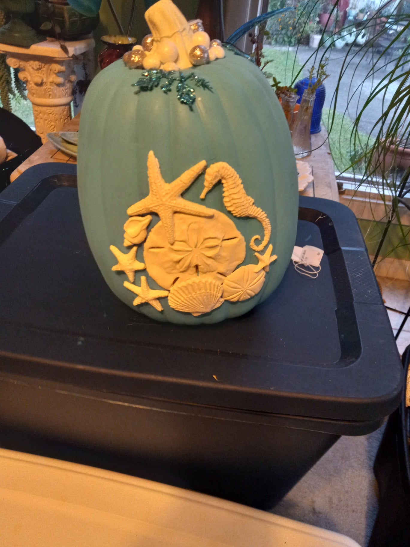 TEAL SEASHELL PUMPKIN DSC