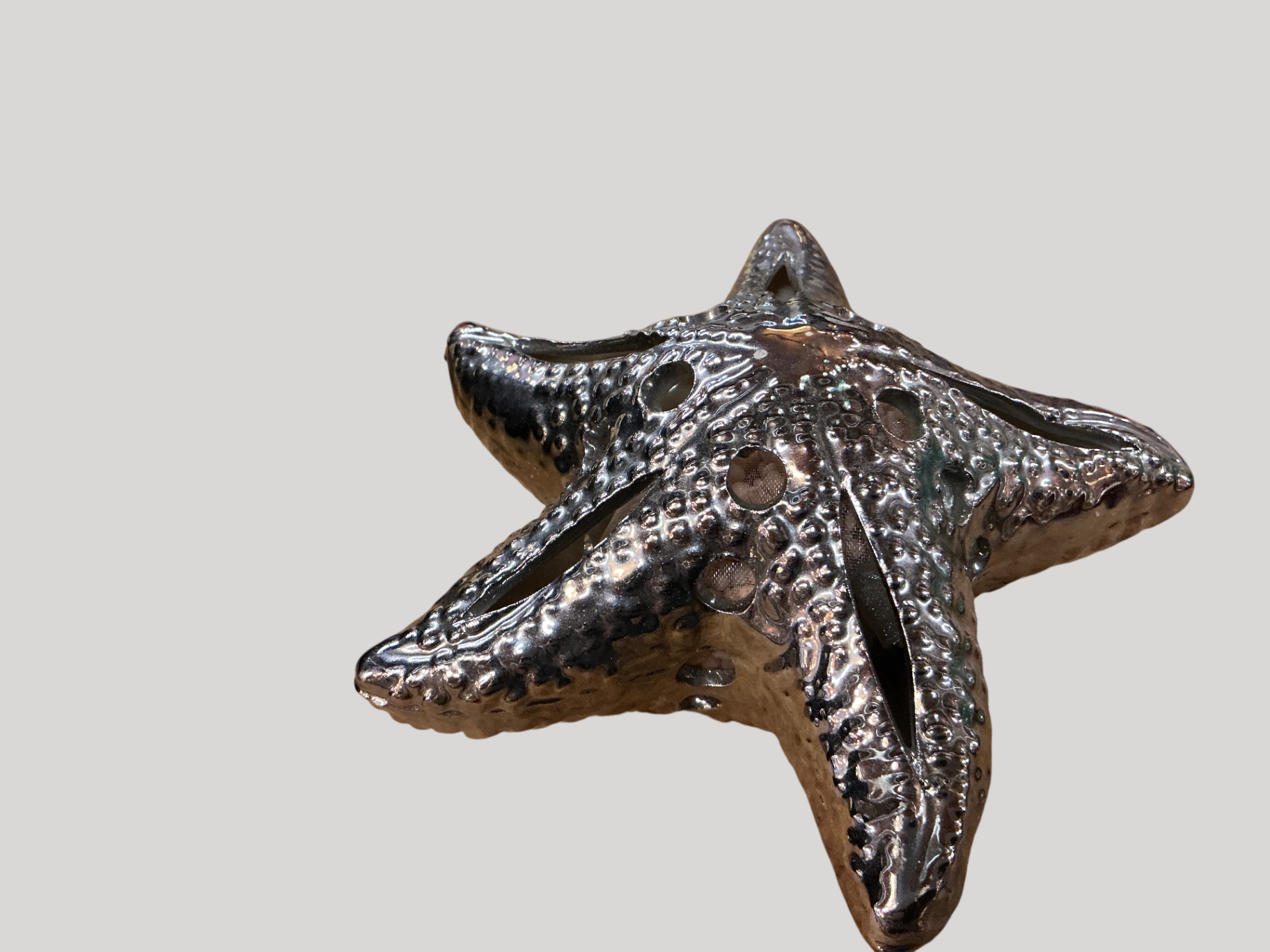 Starfish Pouporri Holder