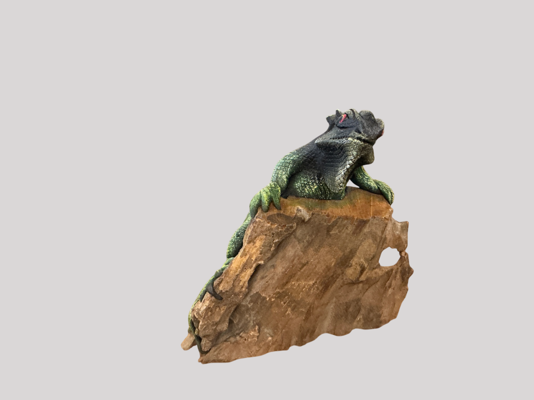 Iguana on Wood
