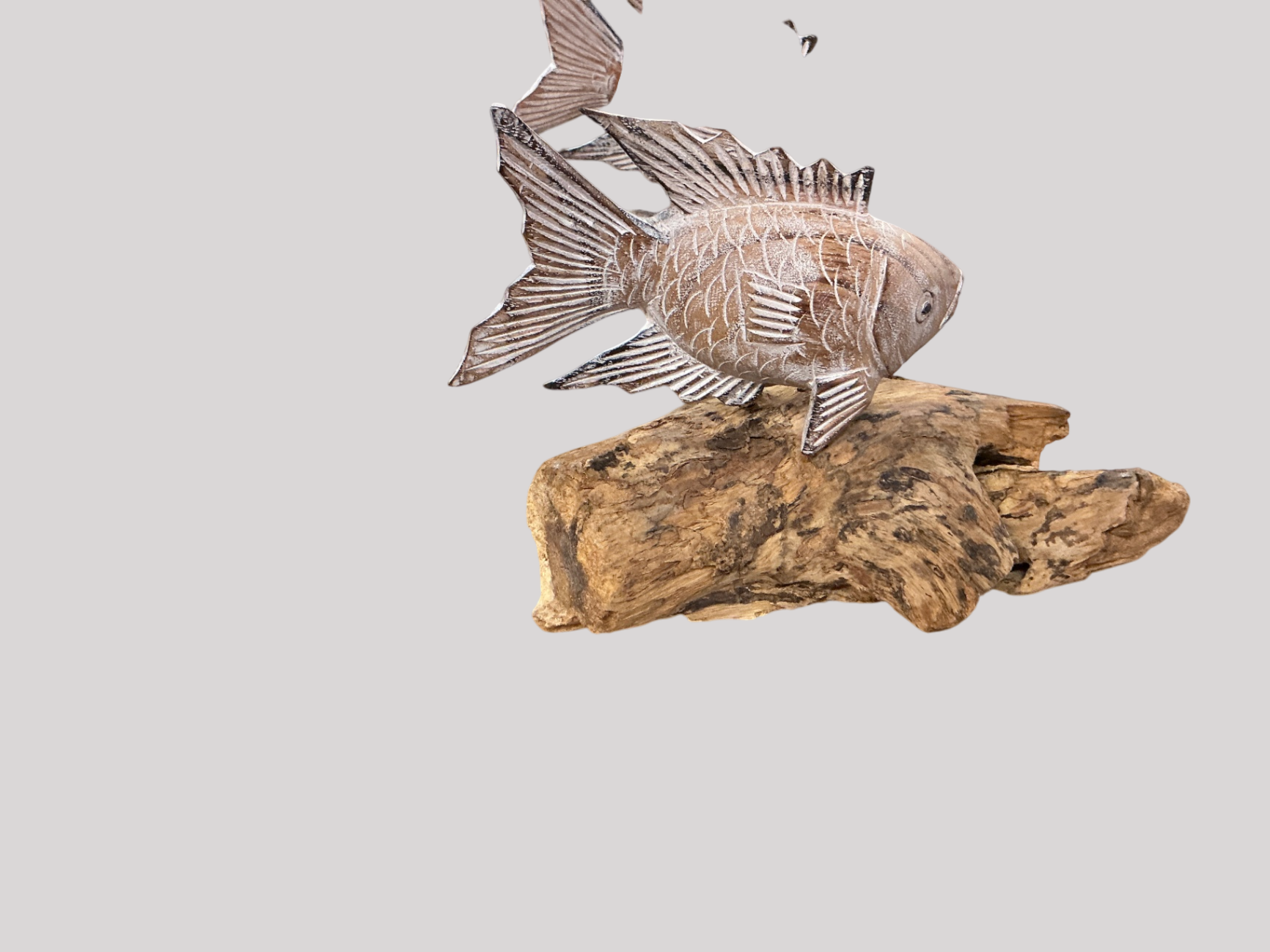 Fish on Wood