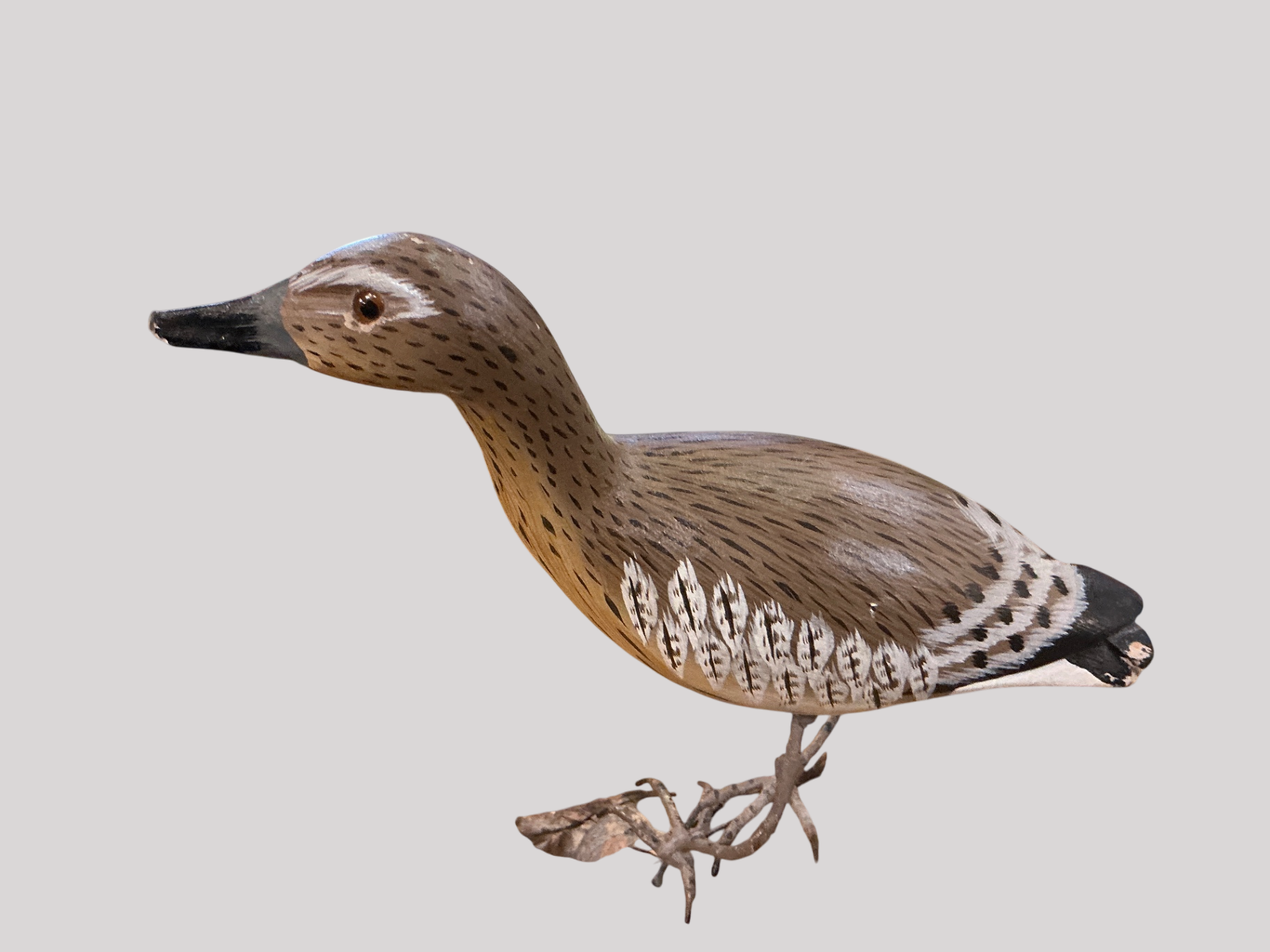 Bird