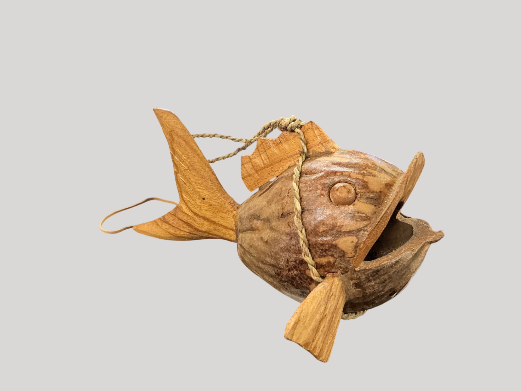 Coco Fish