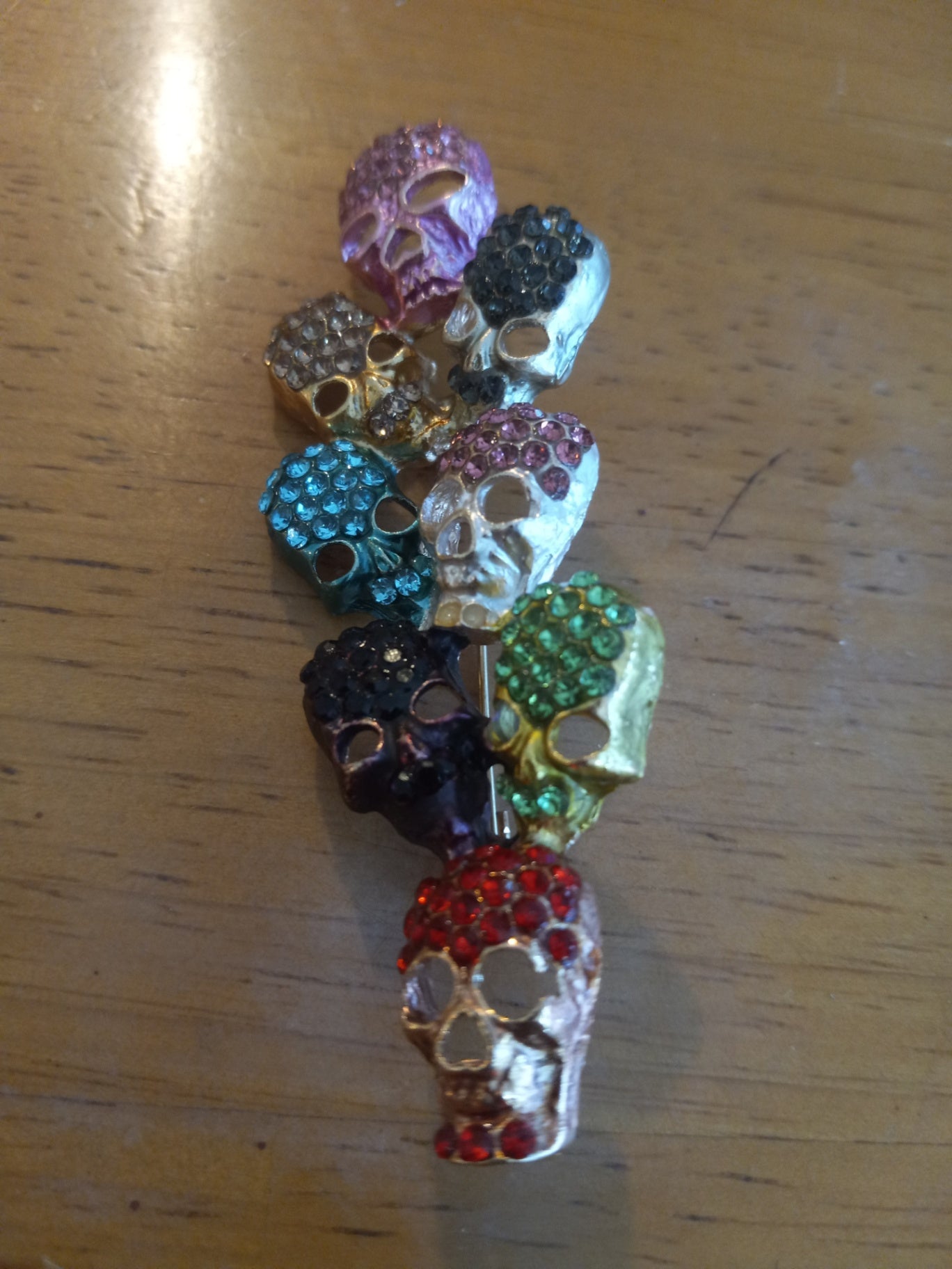 Skull Heads pin dsc