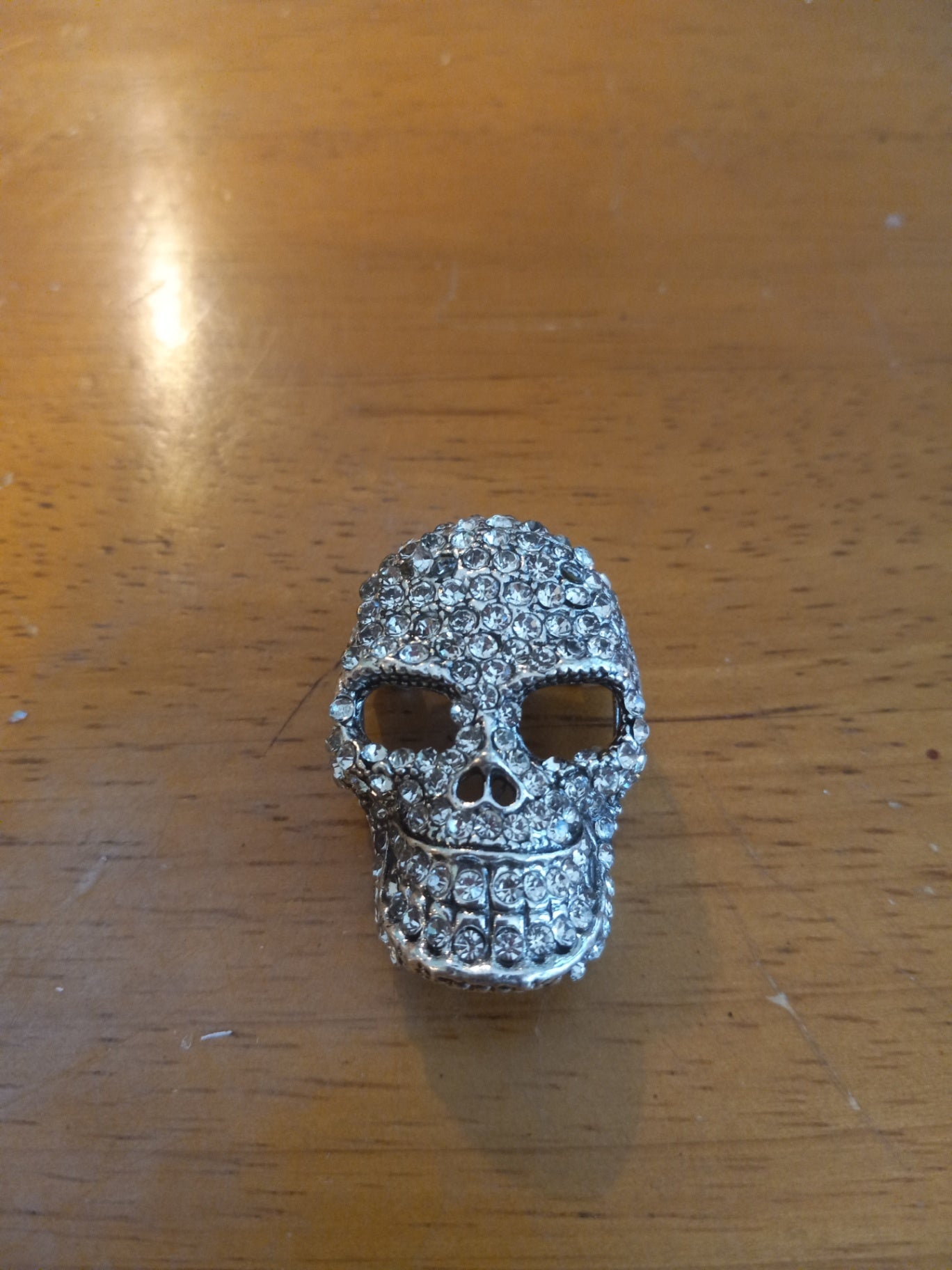 Skeleton Pin dsc
