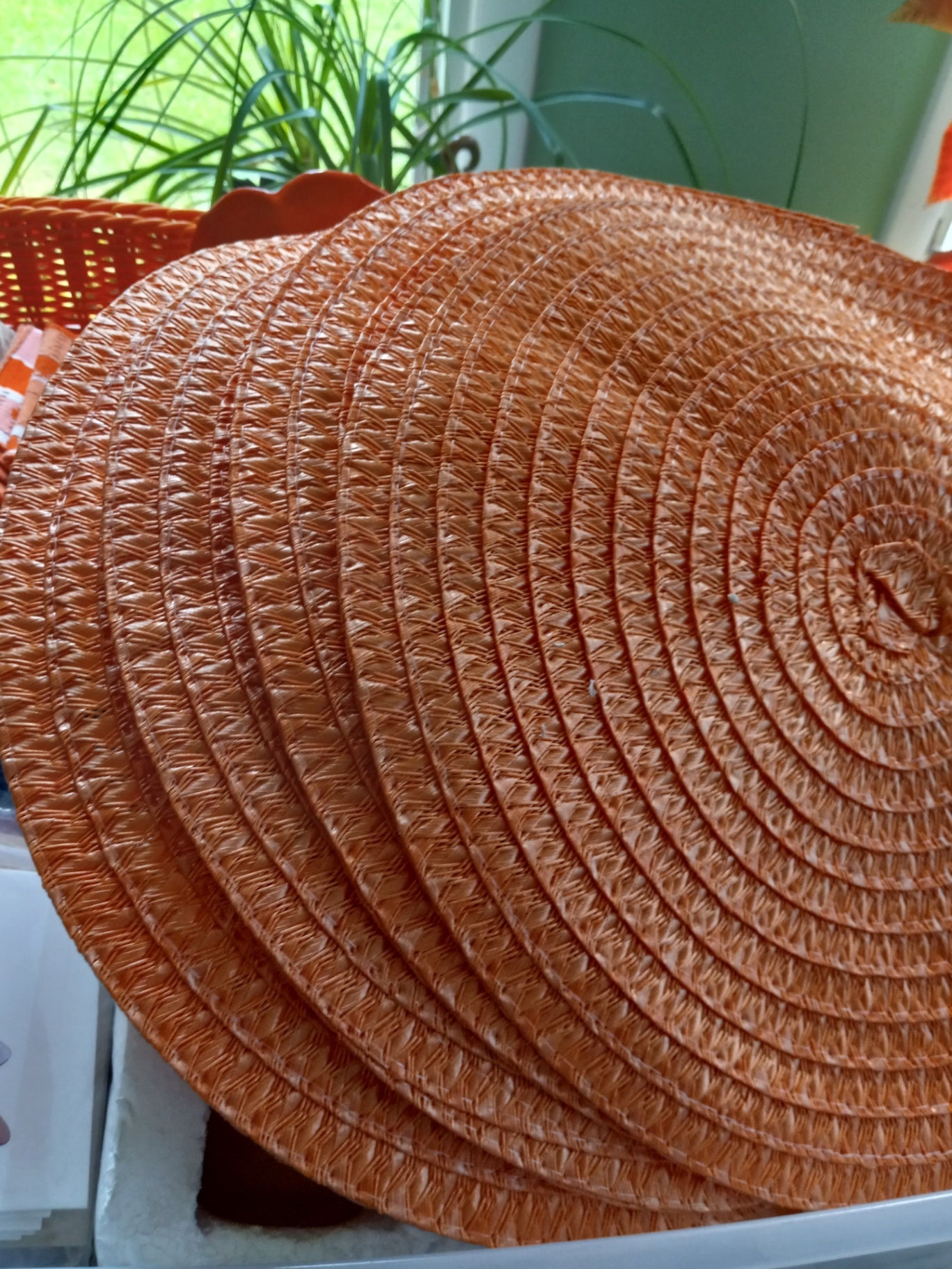 Orange placemats 4 dsc