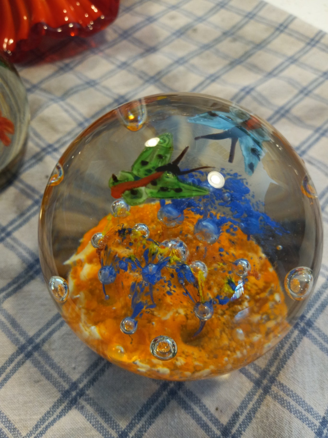 Butterfly large paperweight dsc