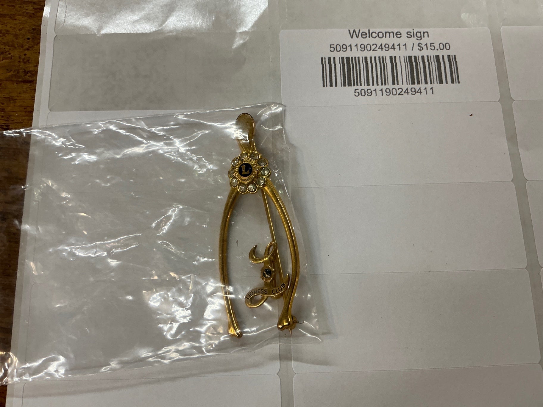Lions Club Pin