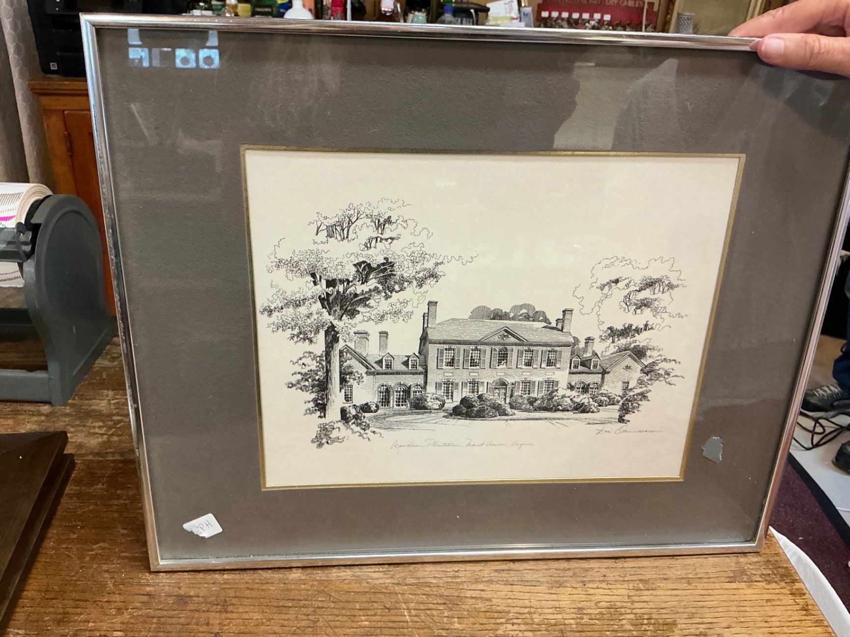 Mount Vernon