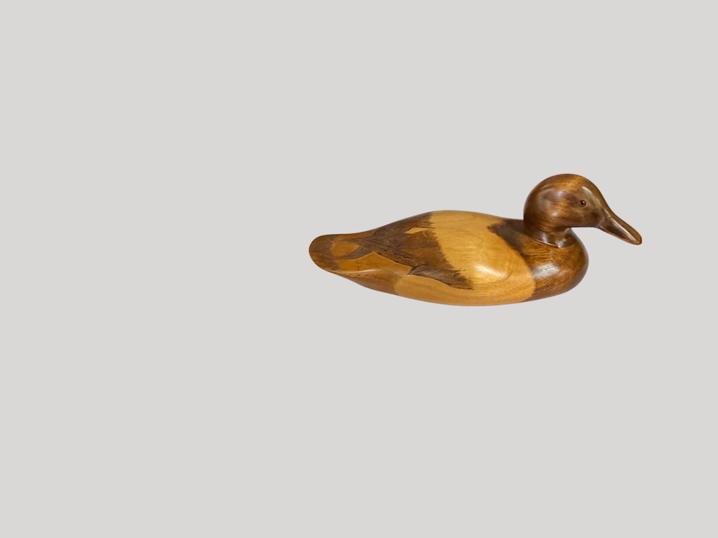 Wood Duck