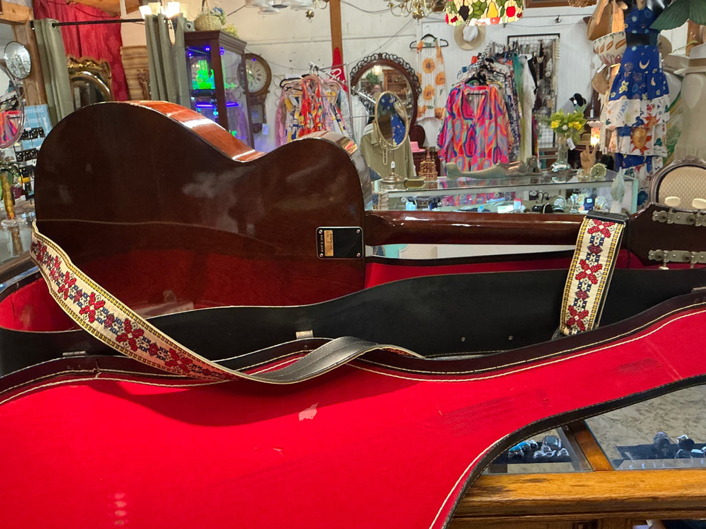 Musical Instrument Guitar