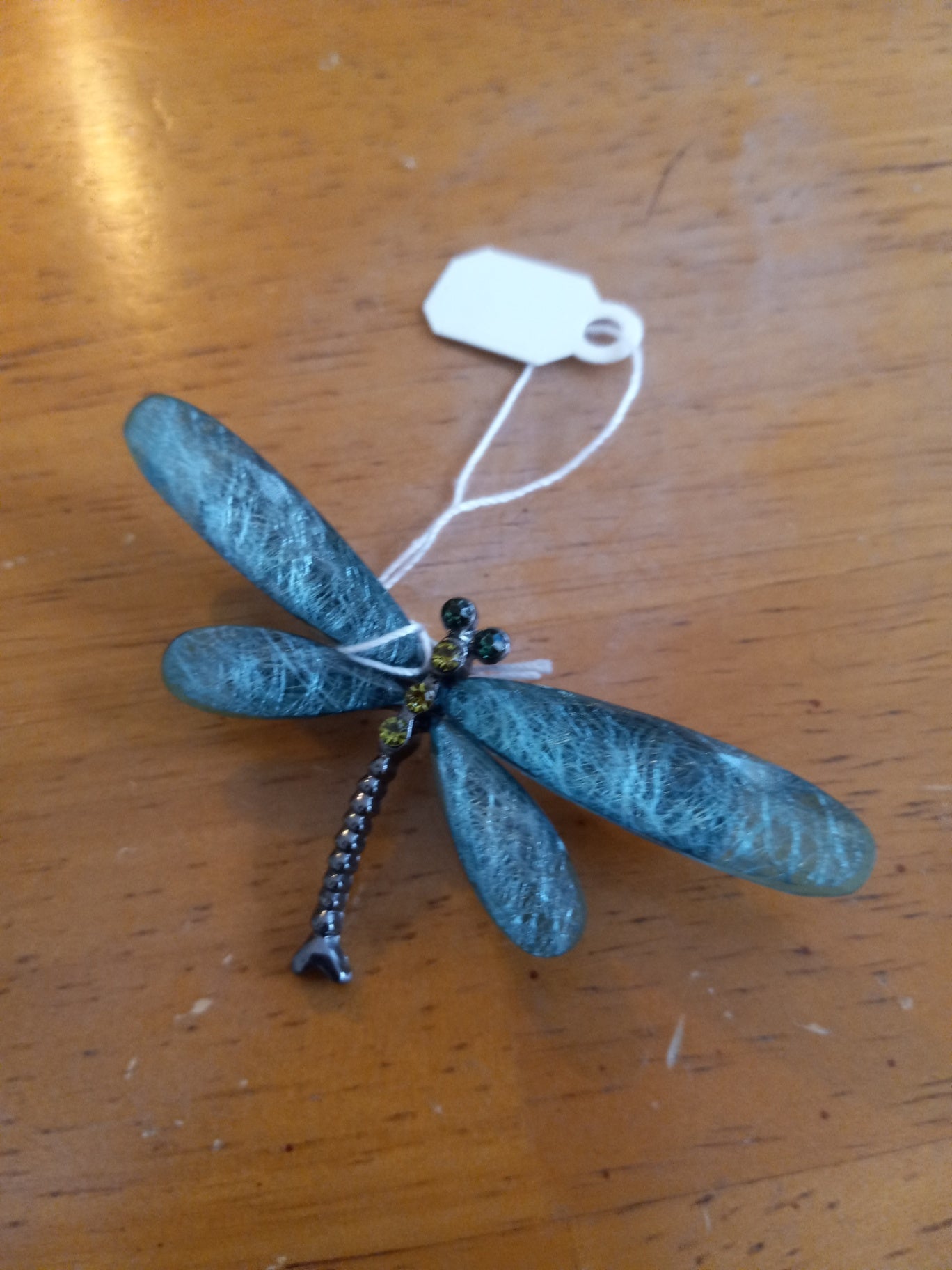 Dragonfly teal dsc 