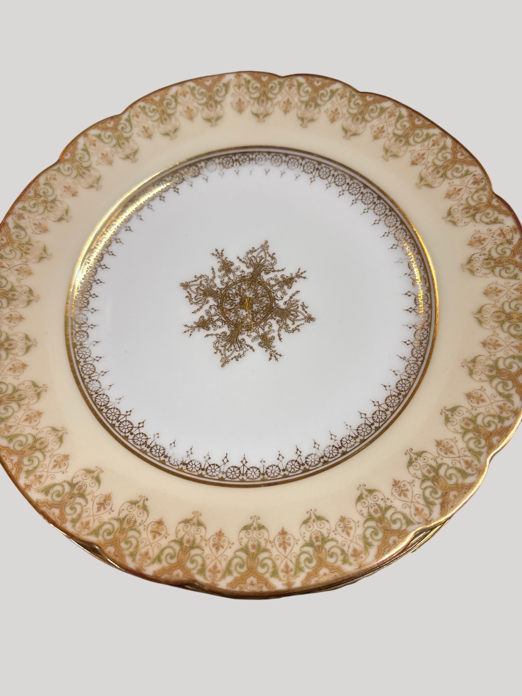 Set of 6 Limoges Salad Plates