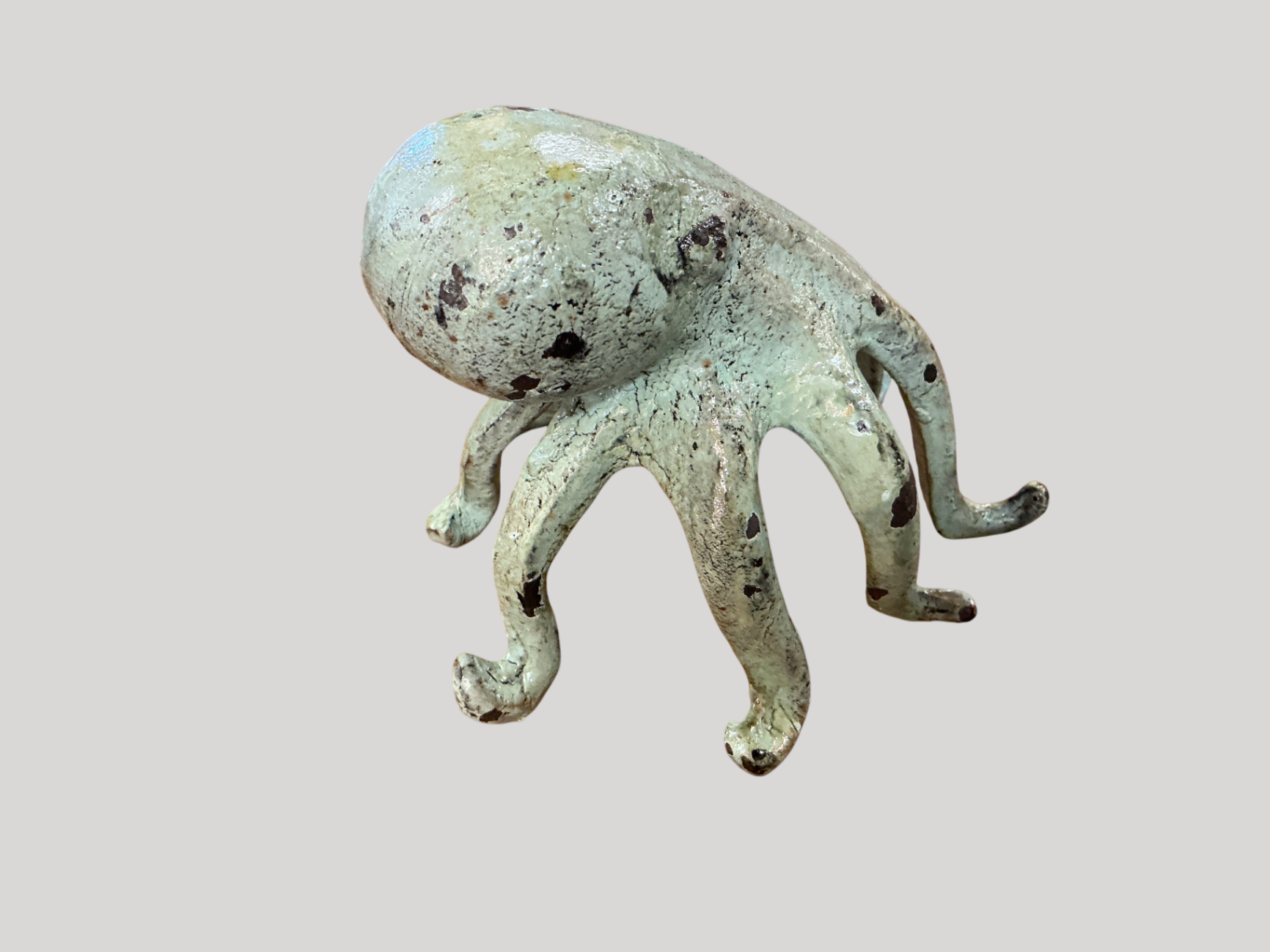 Cast Octopus