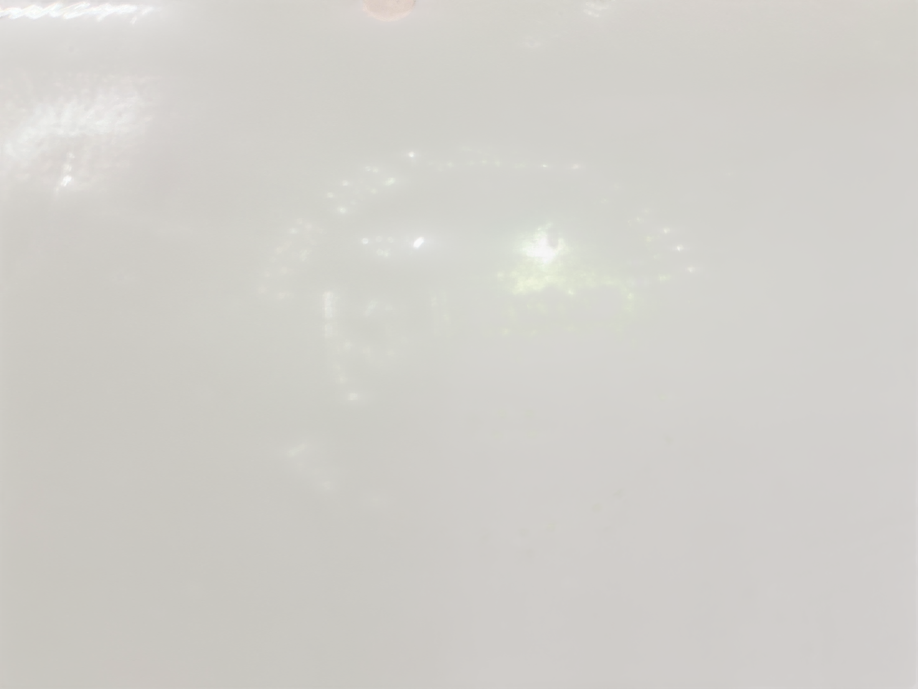 Fire-King “Fruit Garland” Rectangular Baking Dish (Anchor Hocking, USA)