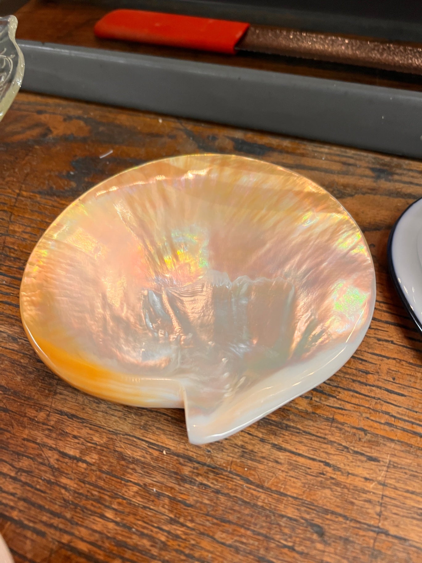 Mother of Pearl Caviar Dish: Iridescent Sea Shell Trinket Tray
