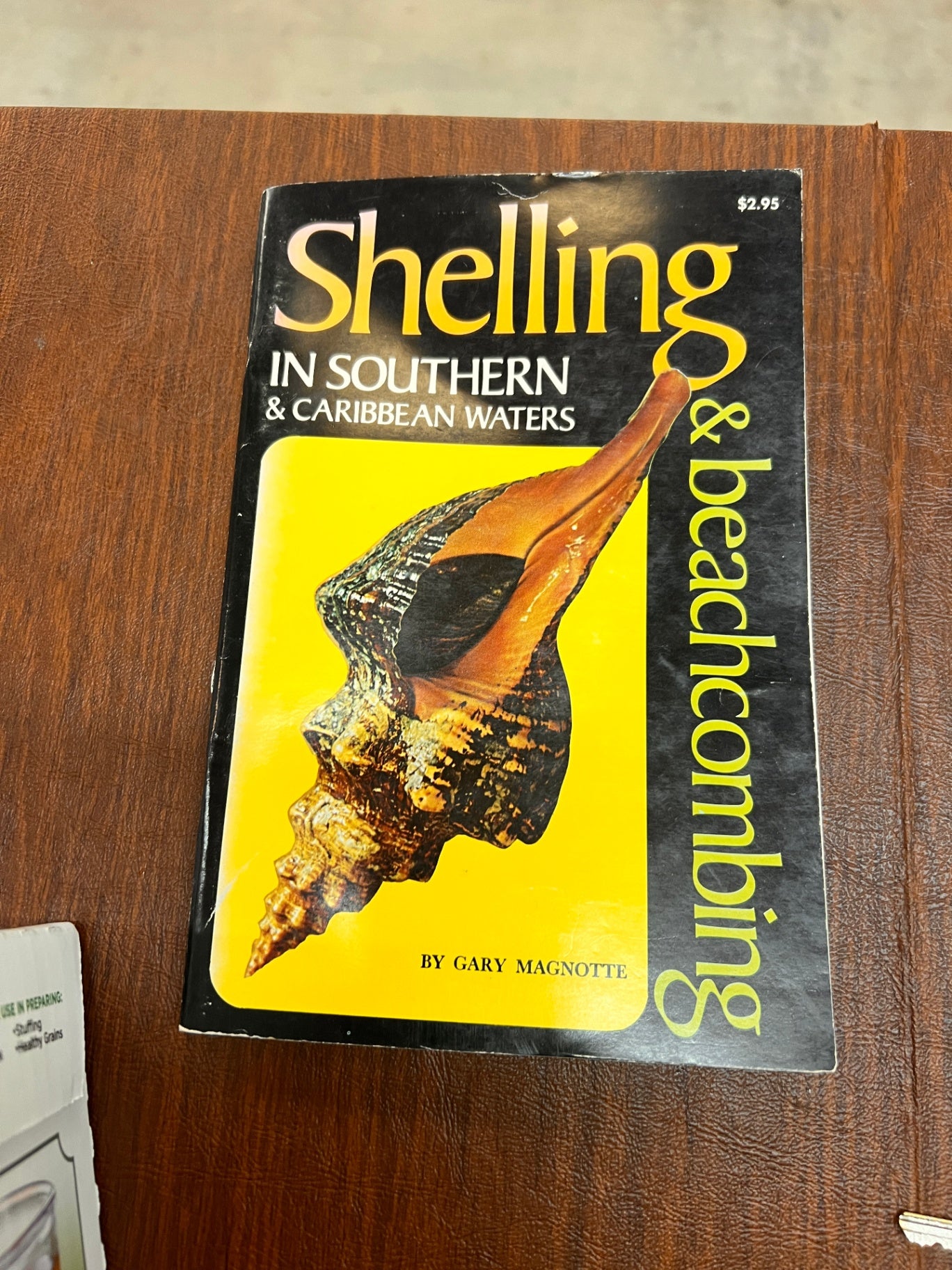 Shelling In Southern and Caribbean Waters