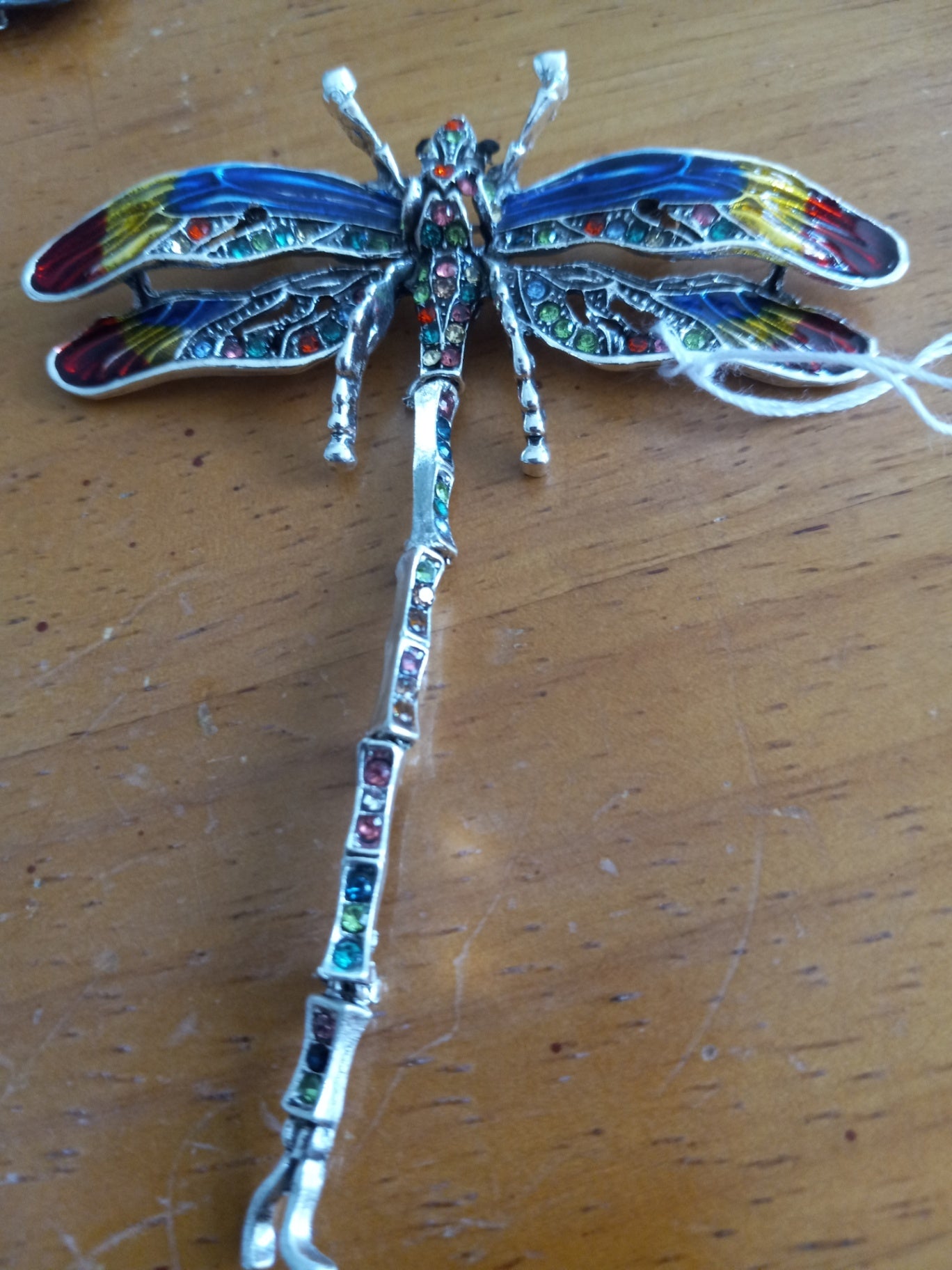 Pin dragonfly dsc
