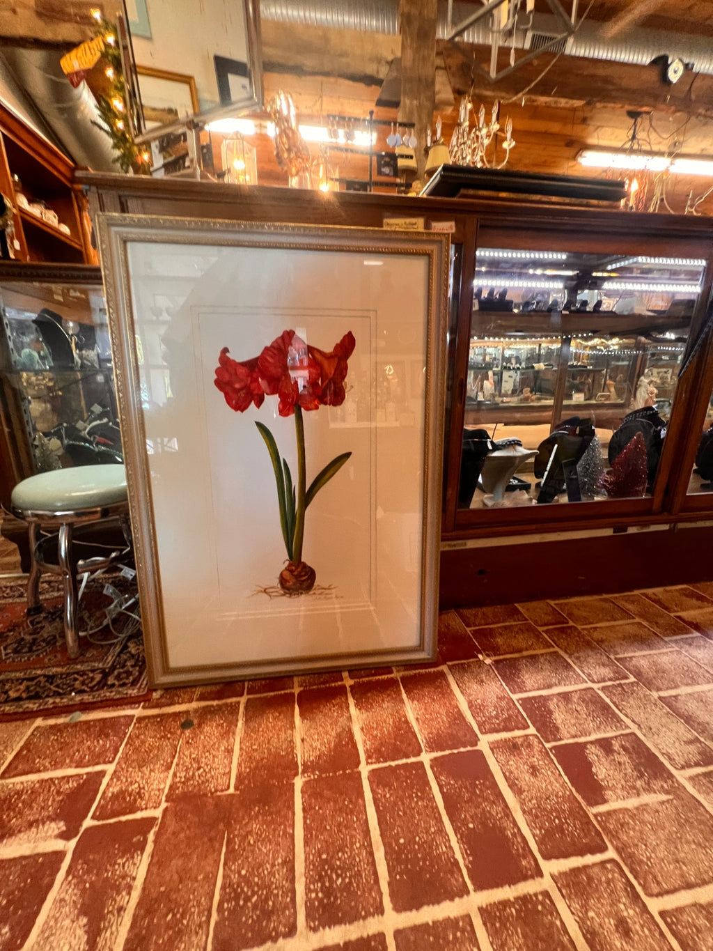 Large Framed Botanical Amaryllis Study