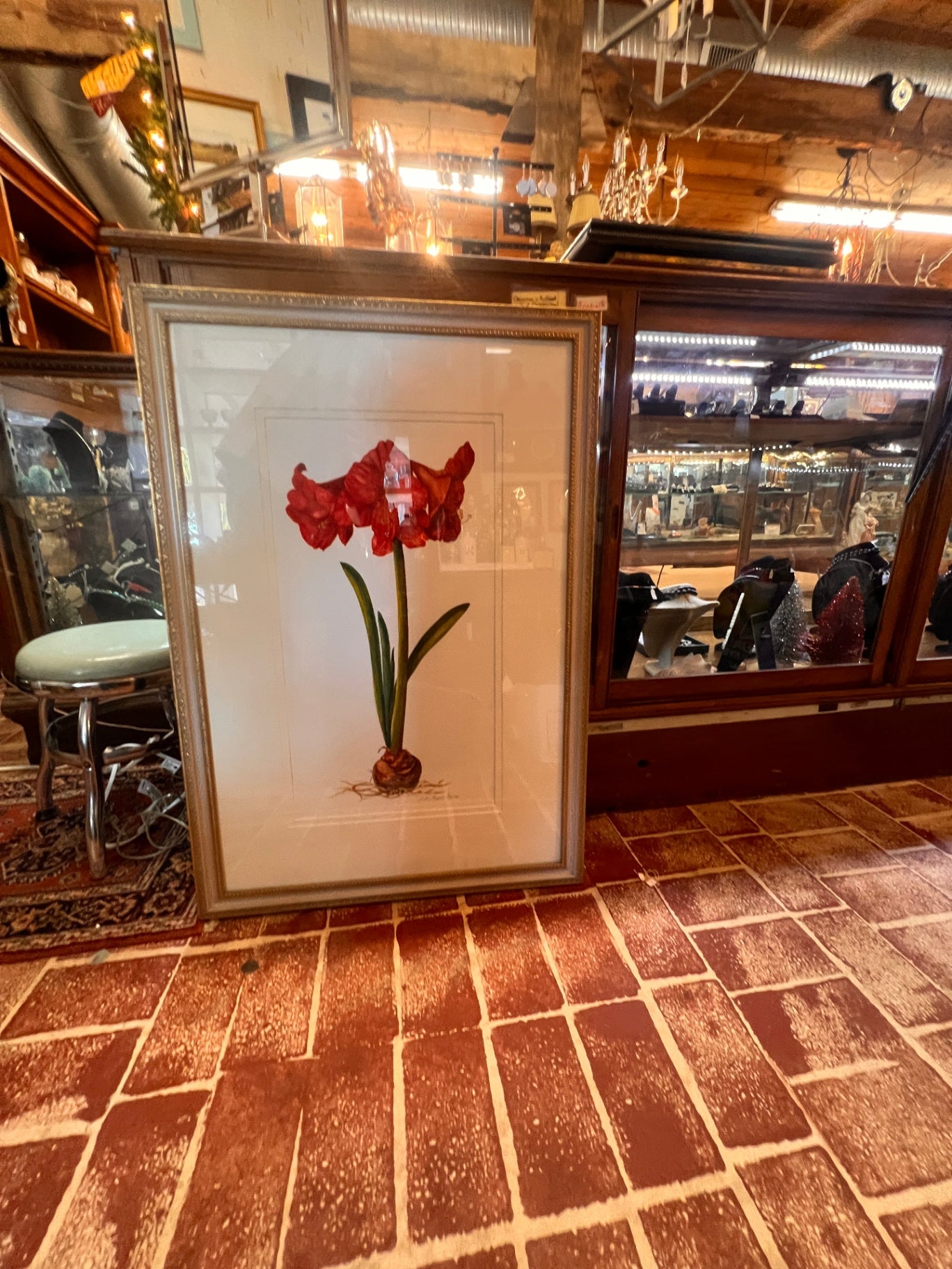 Large Framed Botanical Amaryllis Study