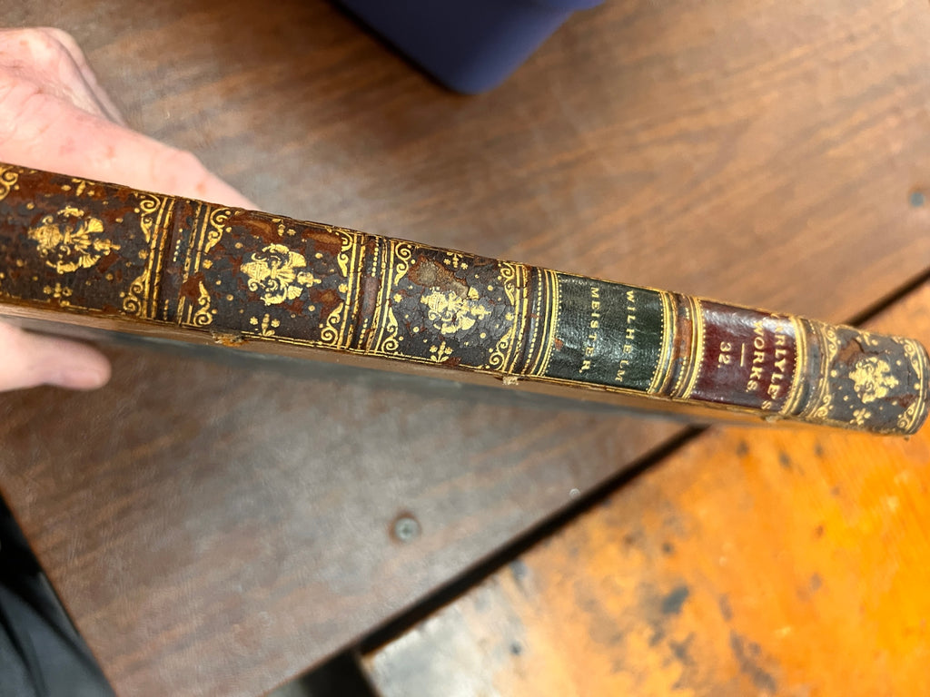 Carlyles Works volume is titled Wilhelm Meister