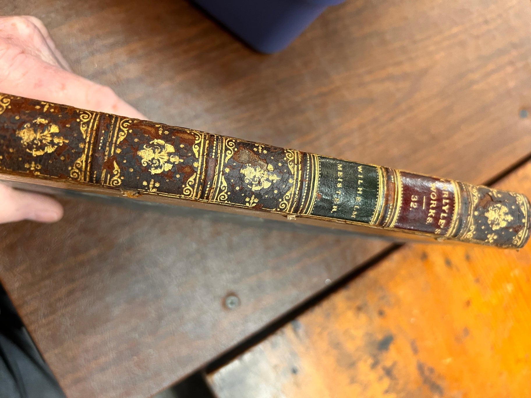 Carlyles Works volume is titled Wilhelm Meister
