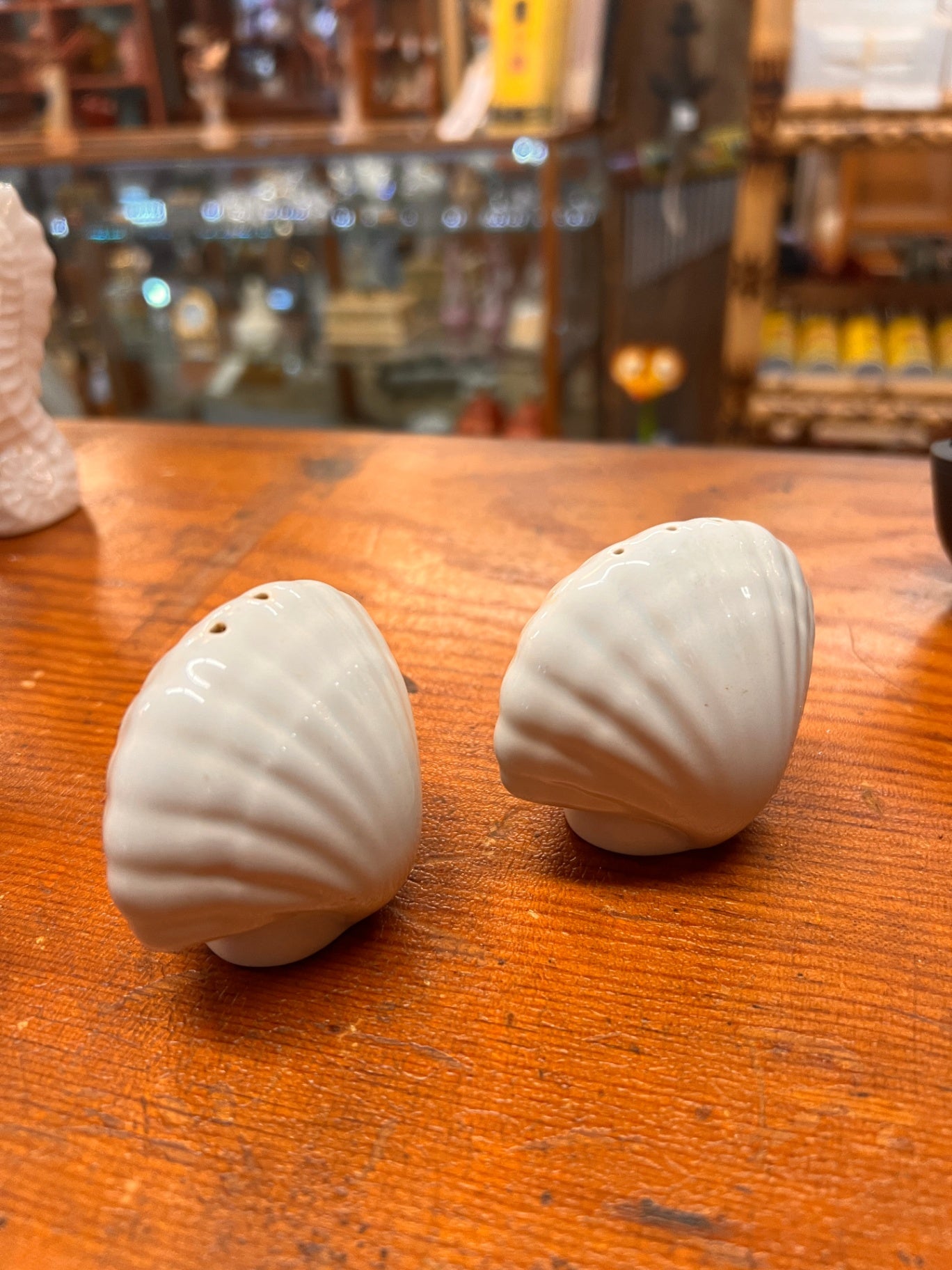 Salt & Pepper Shakers | Sea Shel
