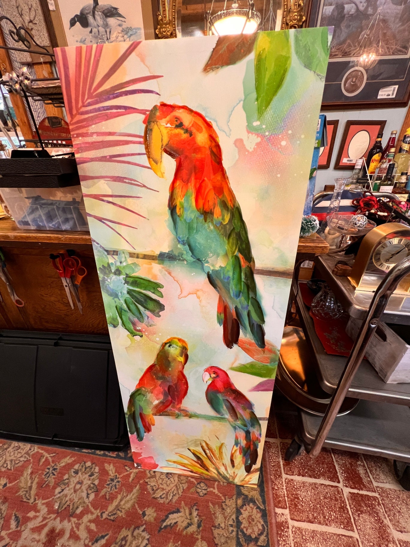 Parrot - Canvas Print