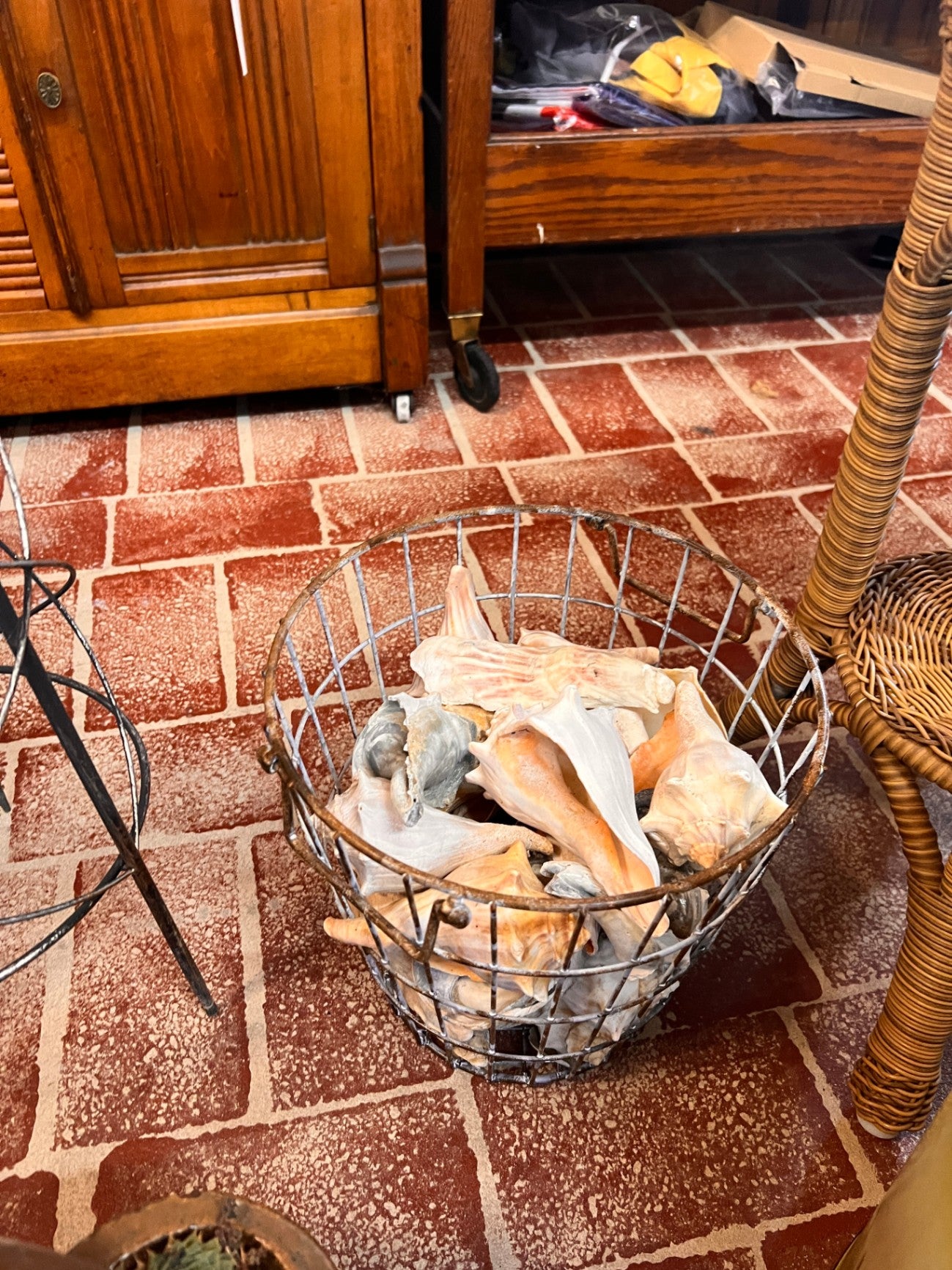 Wire Basket Of Shells