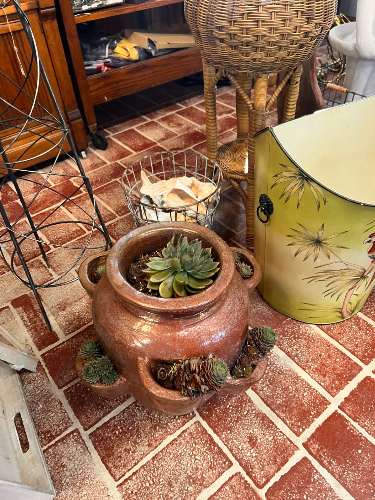 Terra Cota Succulent Planter