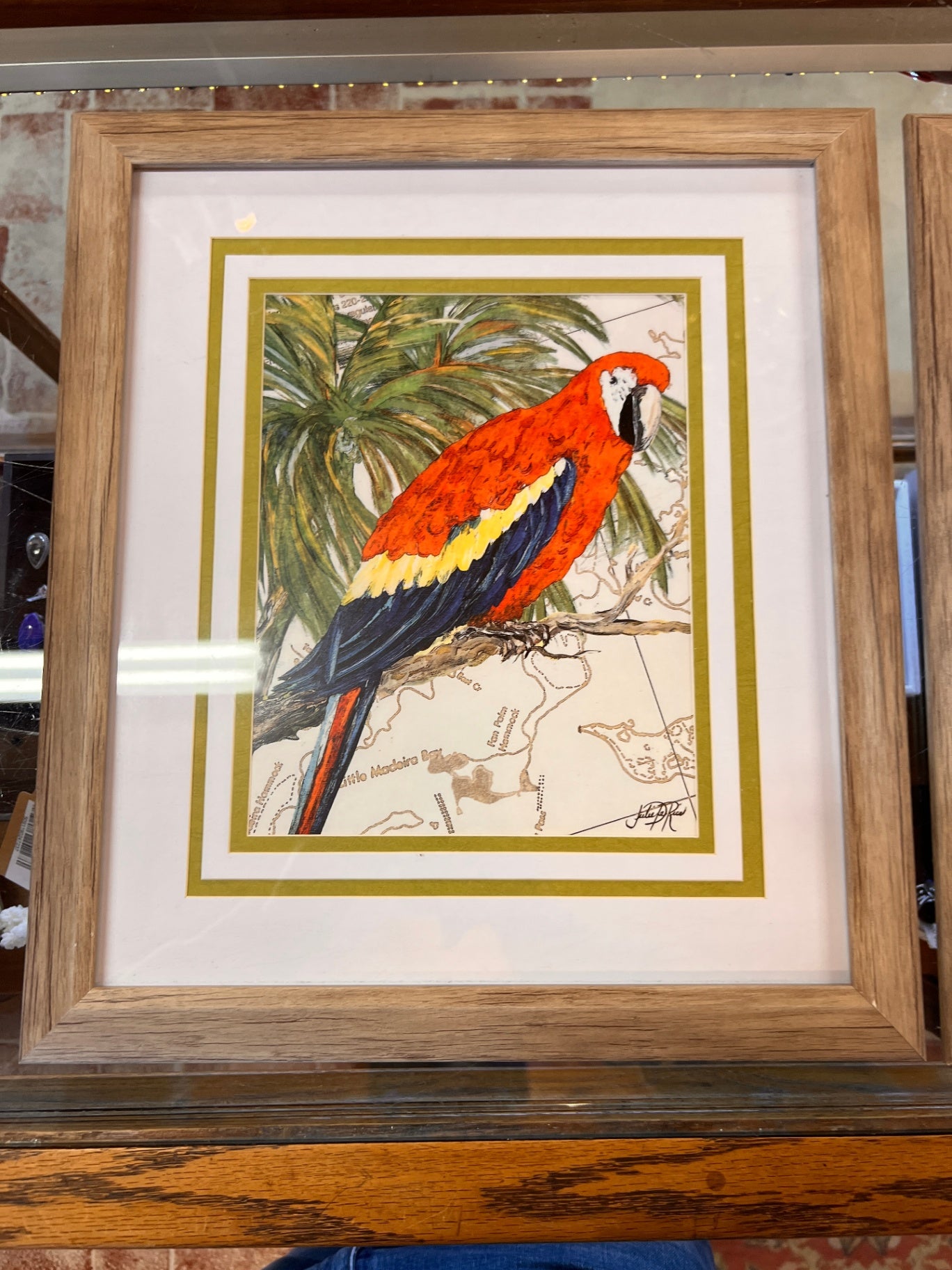 Another Bird in Paradise I Canvas Wall Decor by Artist Julie DeRice for Living Room, Bedroom, Bathroom, Kitchen, Office, Bar, Dining & Guest Room - Ready to Hang - 21 in x 28 in