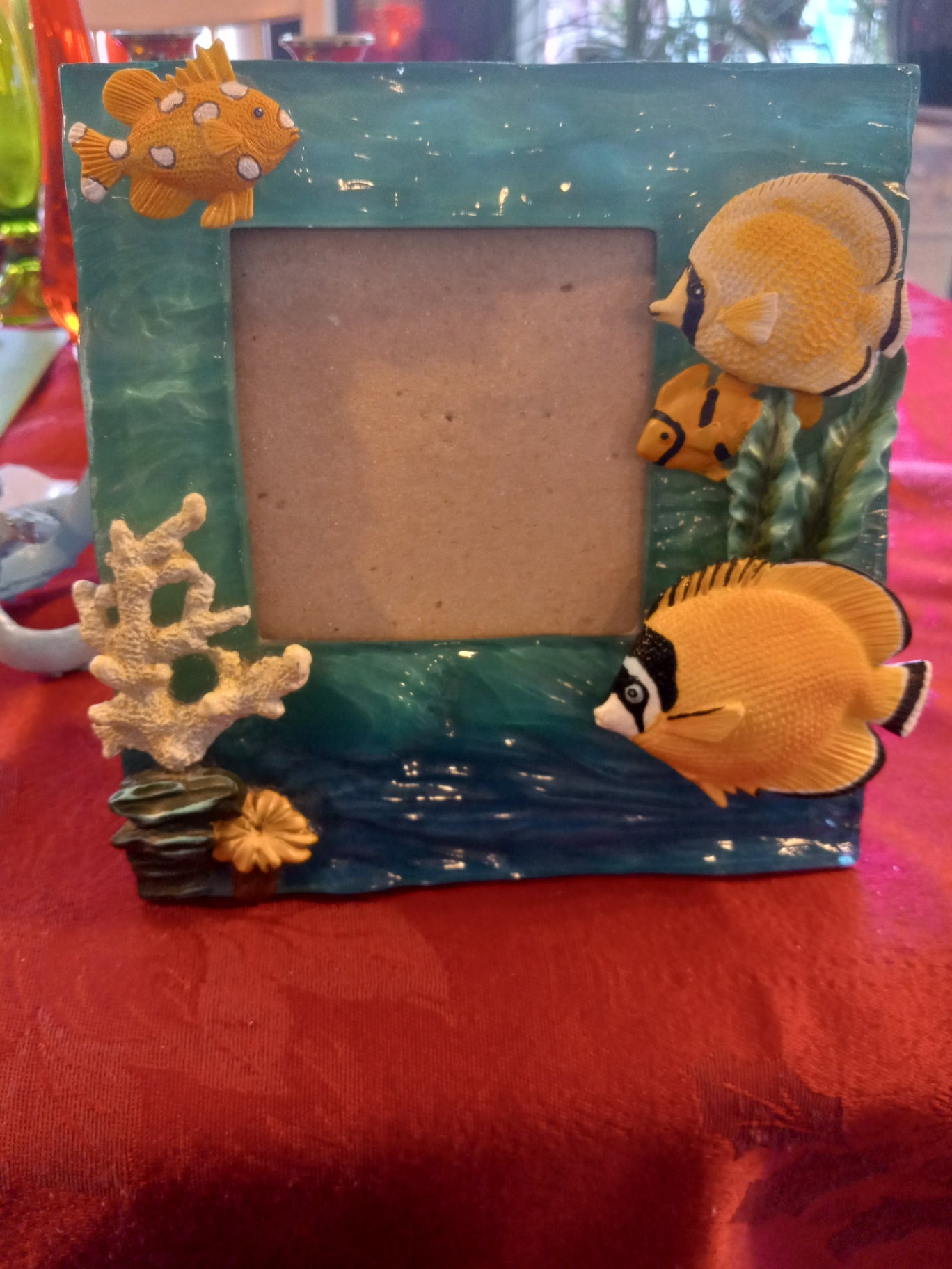 Fish picture frame dsc