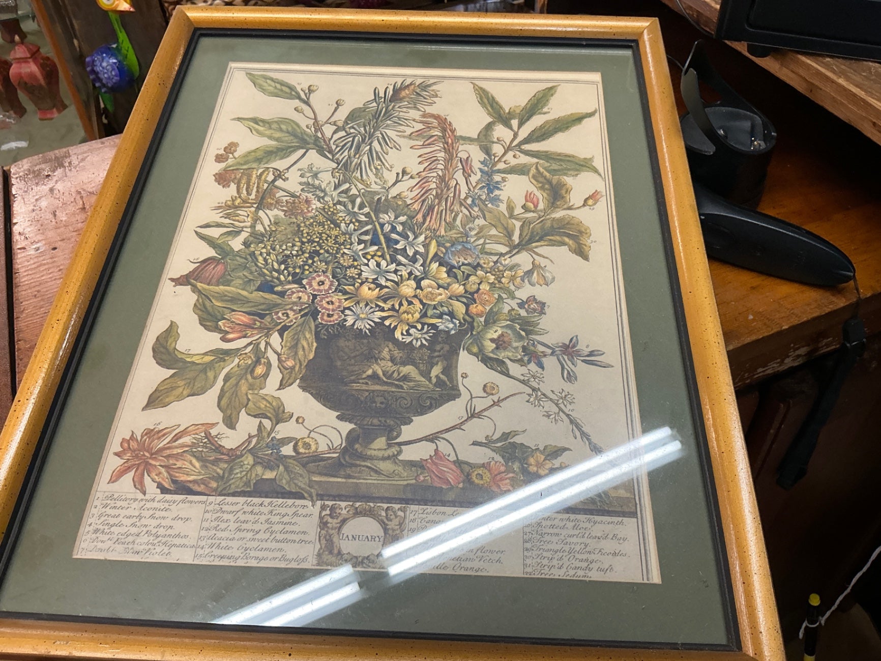 Antique Botanical Engraving – “January” Floral Urn Print in Period Frame