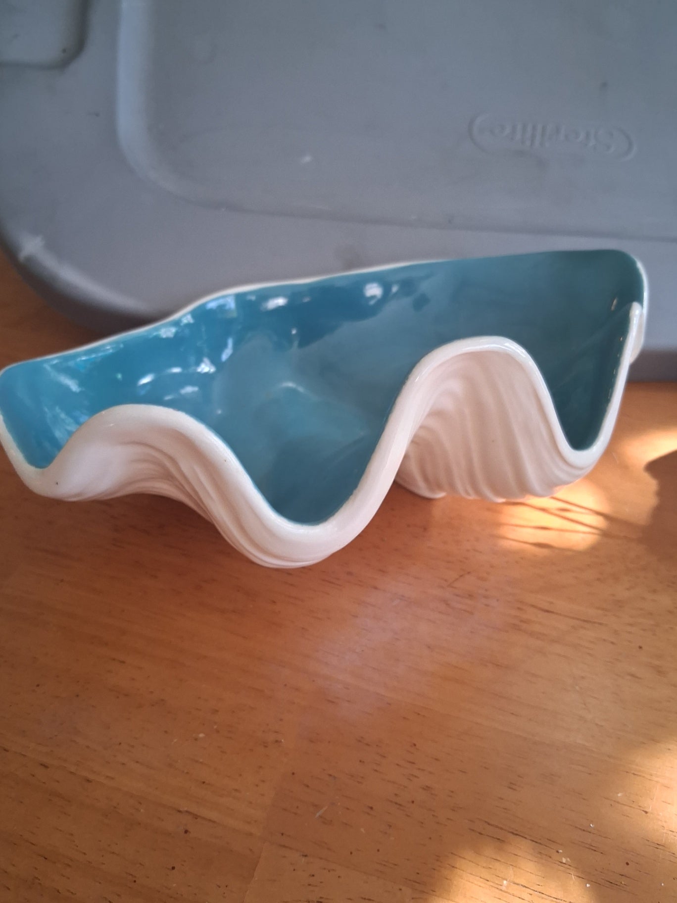 Clam shell dish dsc