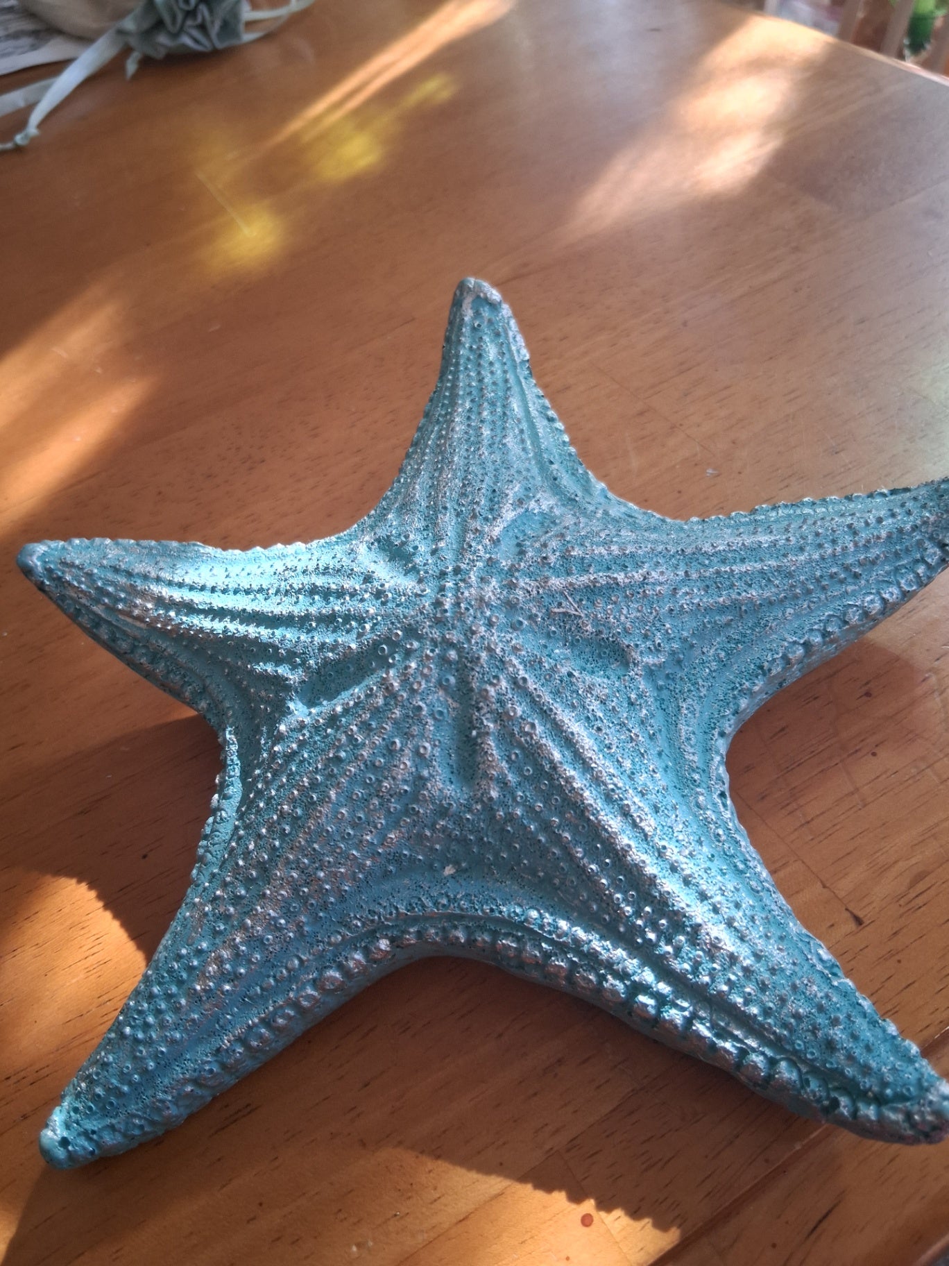Starfish teal dsc
