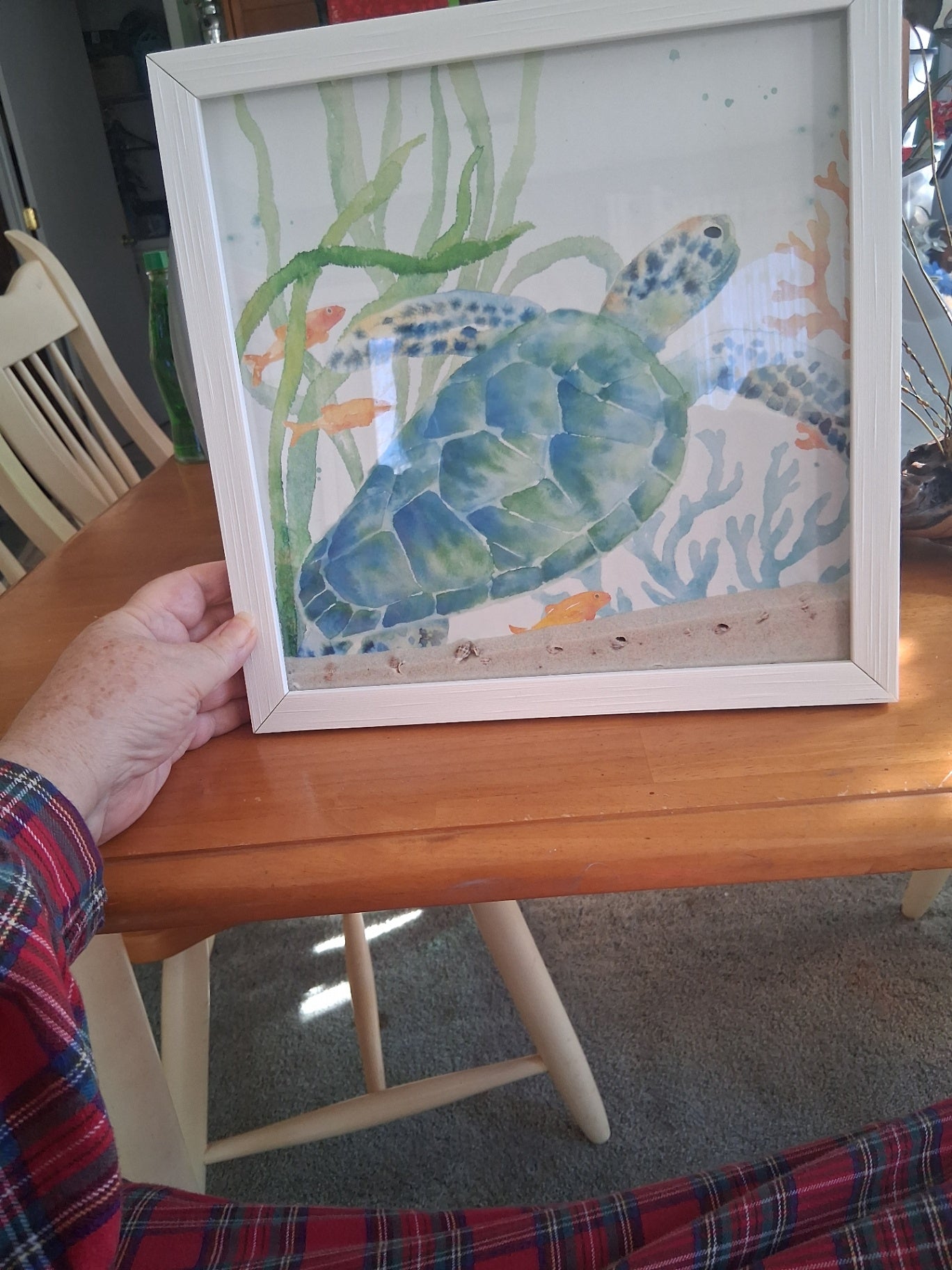 Turtle picture dsc