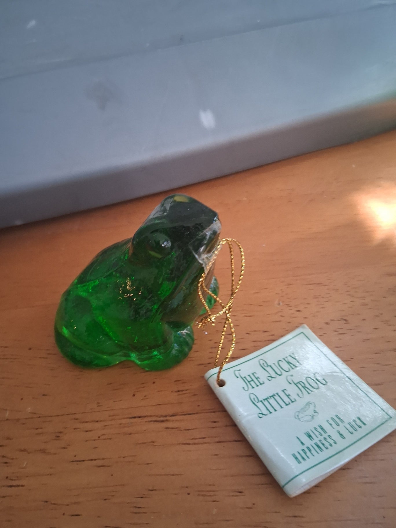 Green glass frog dsc