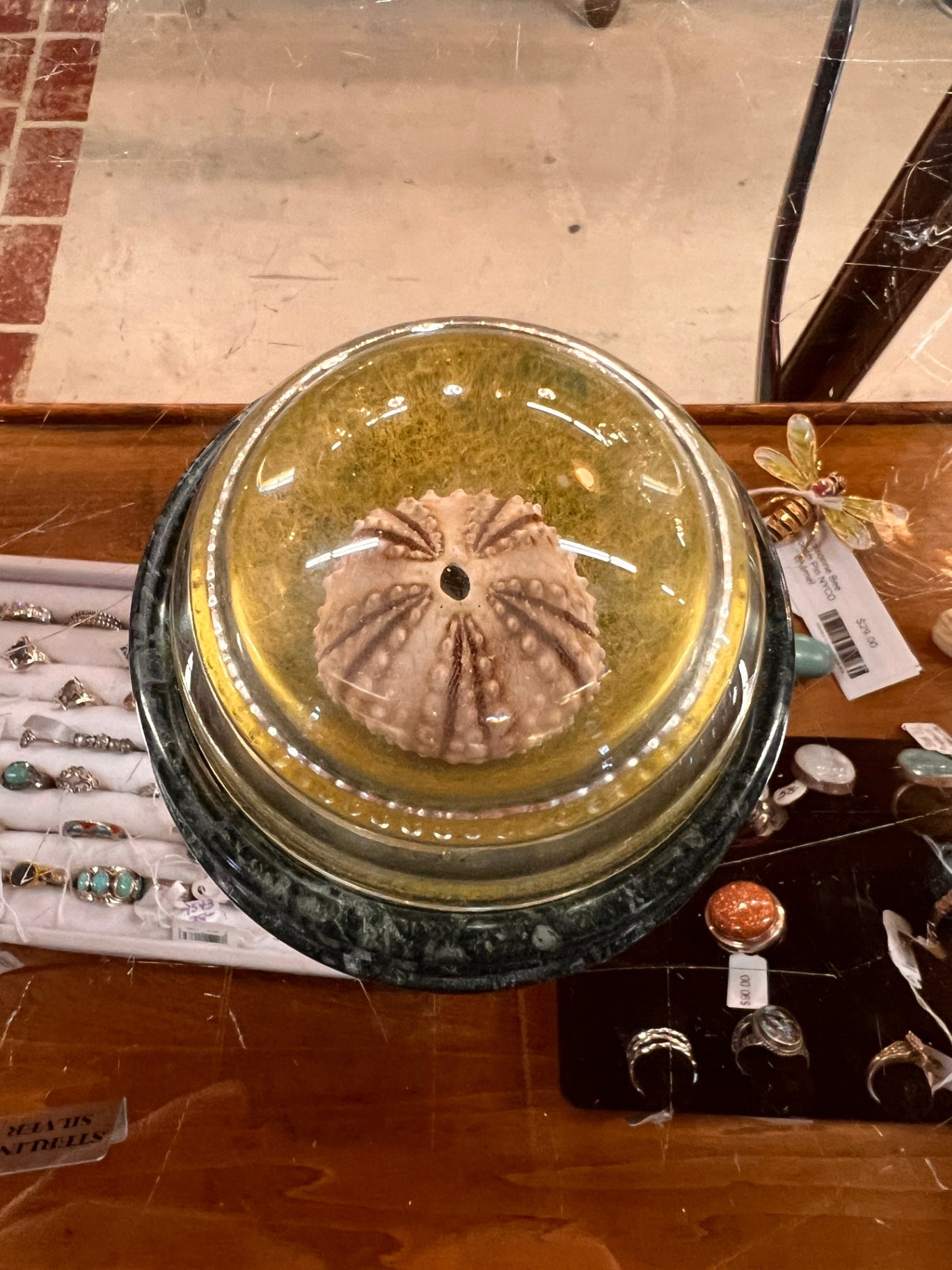 Sea Urchin Paperweight