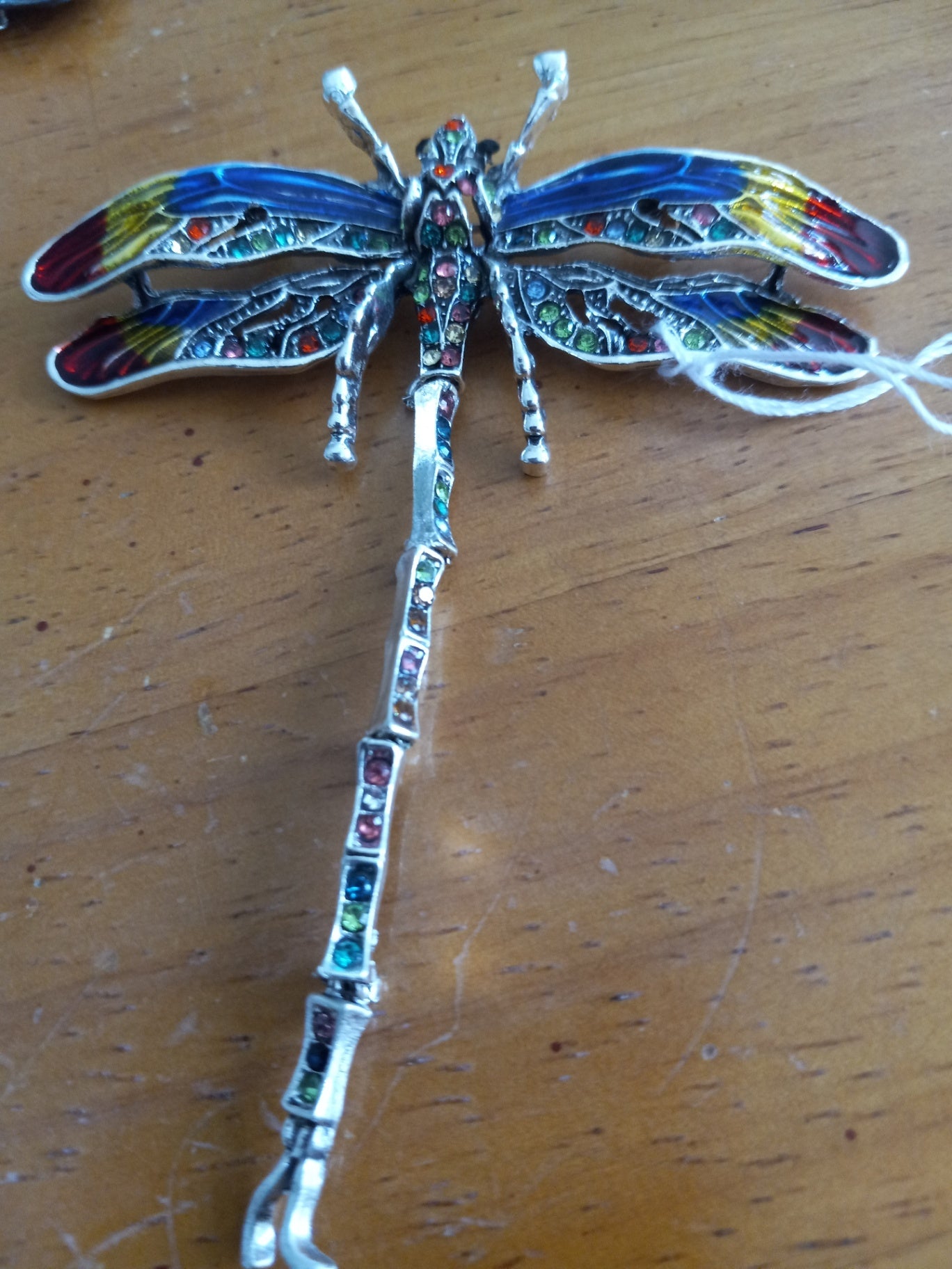 Dragonfly pin dsc