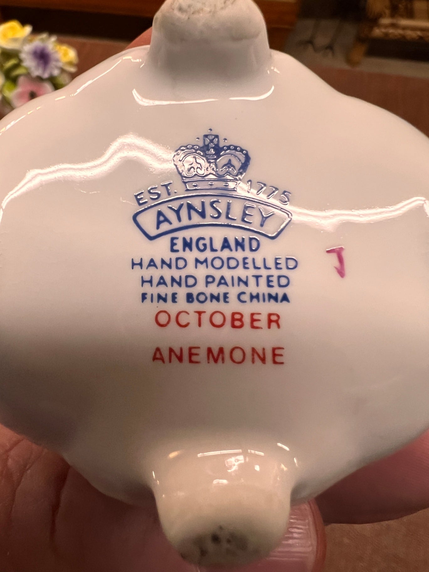 Vintage Aynsley October Anemone Fine Bone China Floral Posy – Hand Modelled & Hand Painted – England